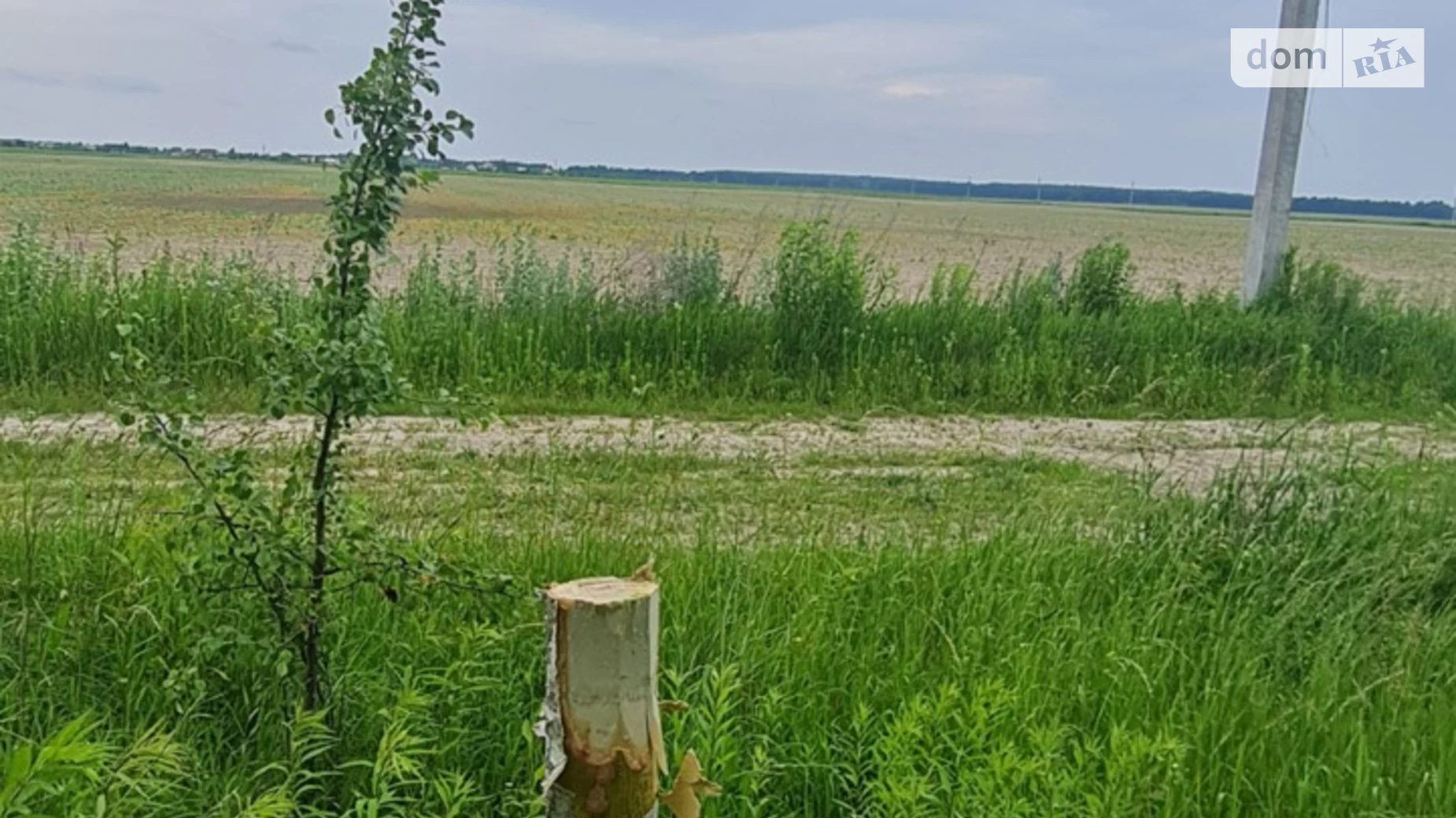 Ставище (Брусилов), цена: 32500 $ - фото 5