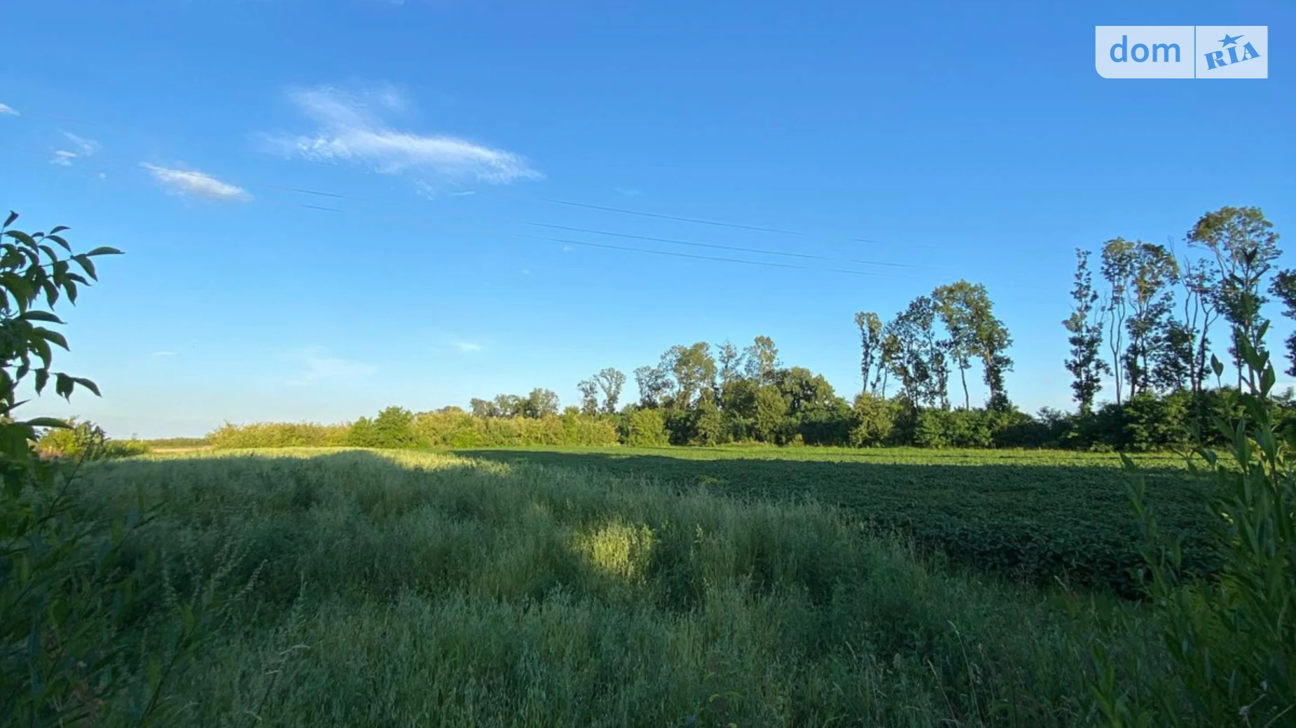 Репнов, цена: 20000 $ - фото 2