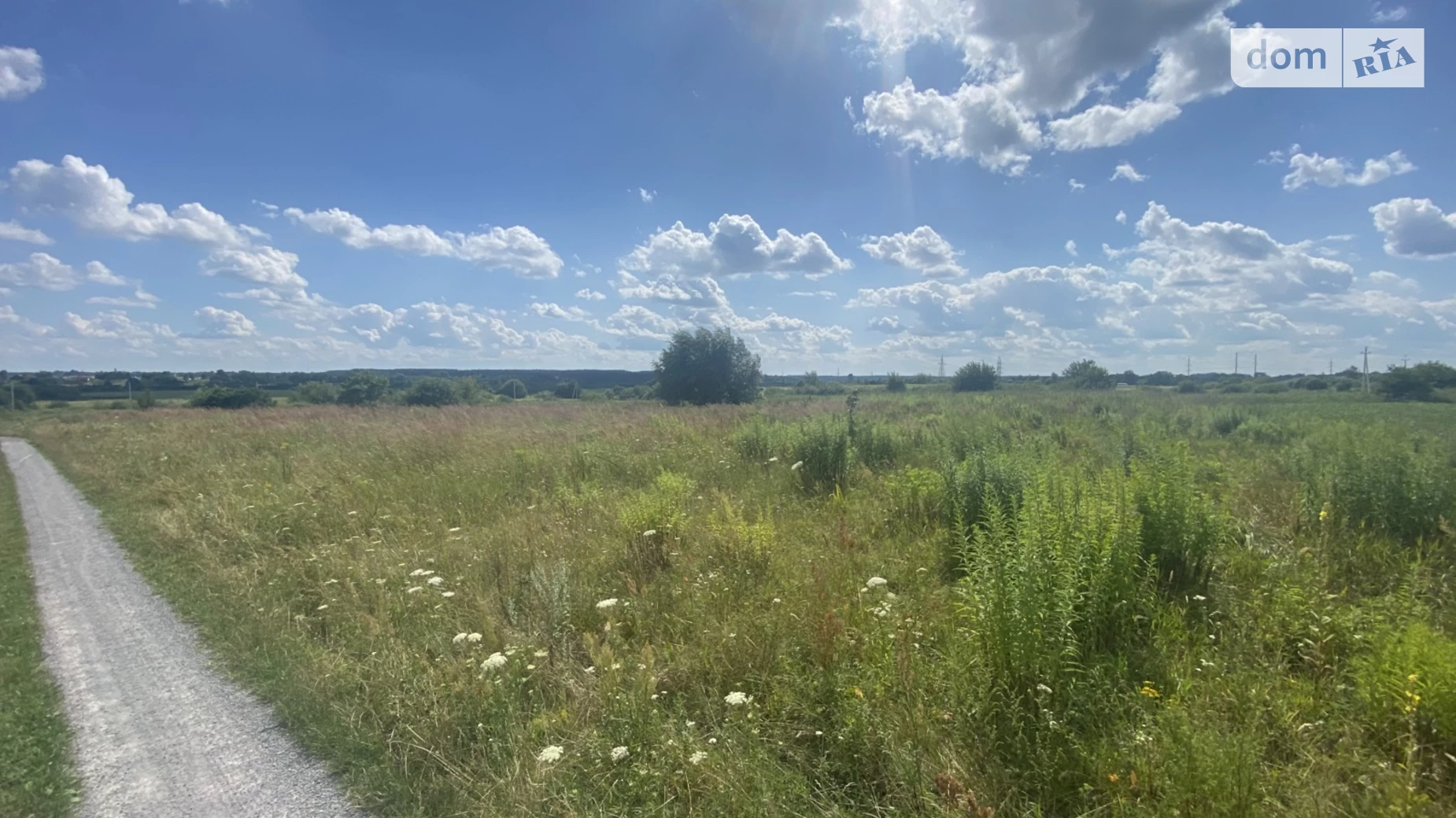 Продается земельный участок 11.25 соток в Ровенской области, цена: 5800 $ - фото 5