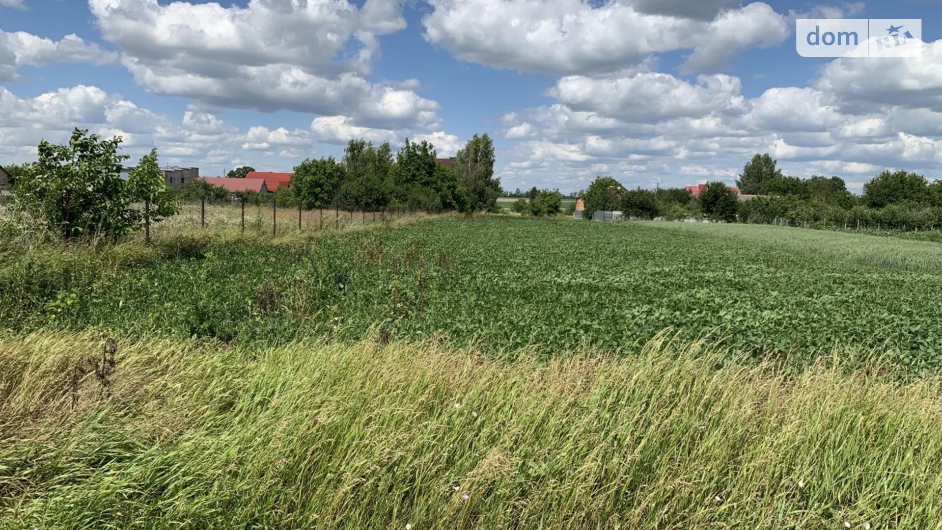 Продается земельный участок 31.2 соток в Тернопольской области, цена: 27000 $ - фото 5