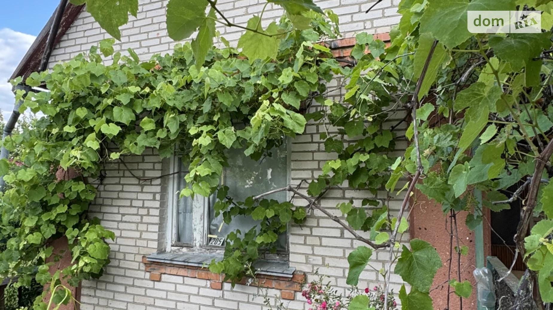 Продается одноэтажный дом 25.6 кв. м с садом, цена: 20000 $ - фото 4