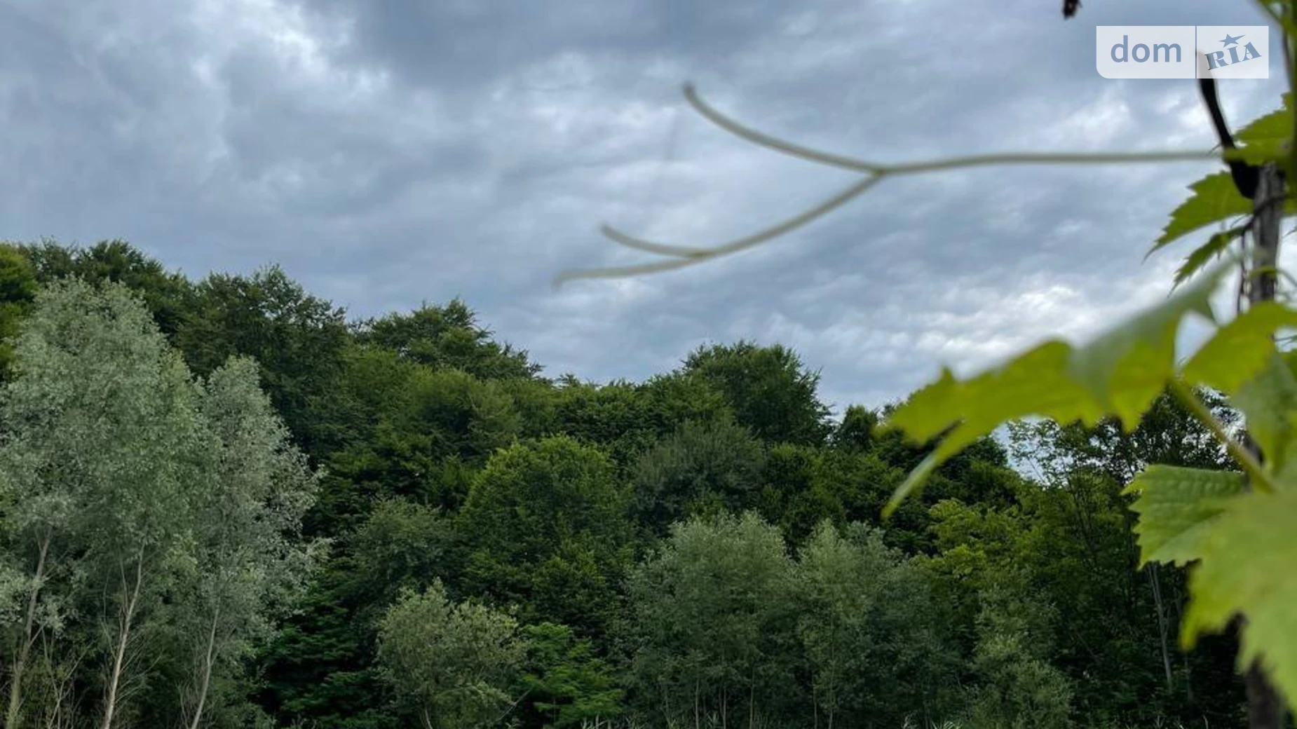 Продается одноэтажный дом 120 кв. м с садом, цена: 80000 $ - фото 2