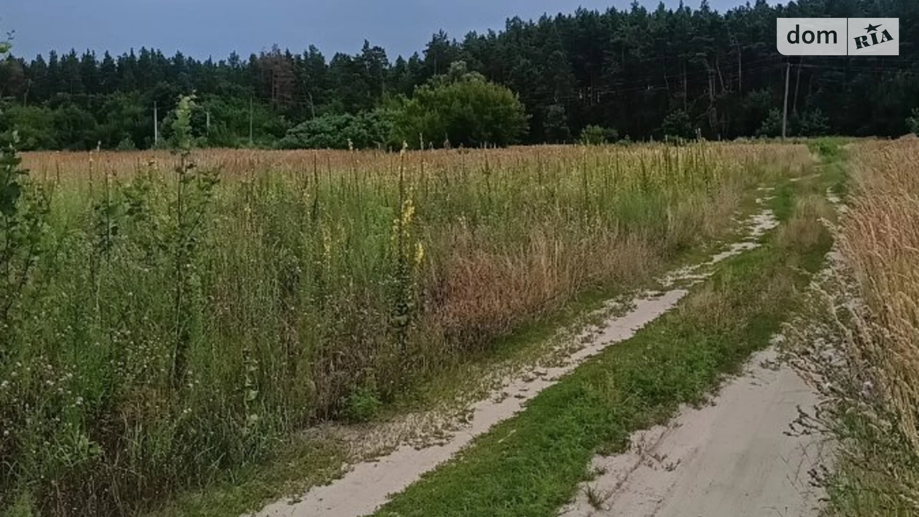 ул. Дубровская Старые Петровцы, цена: 15000 $ - фото 2
