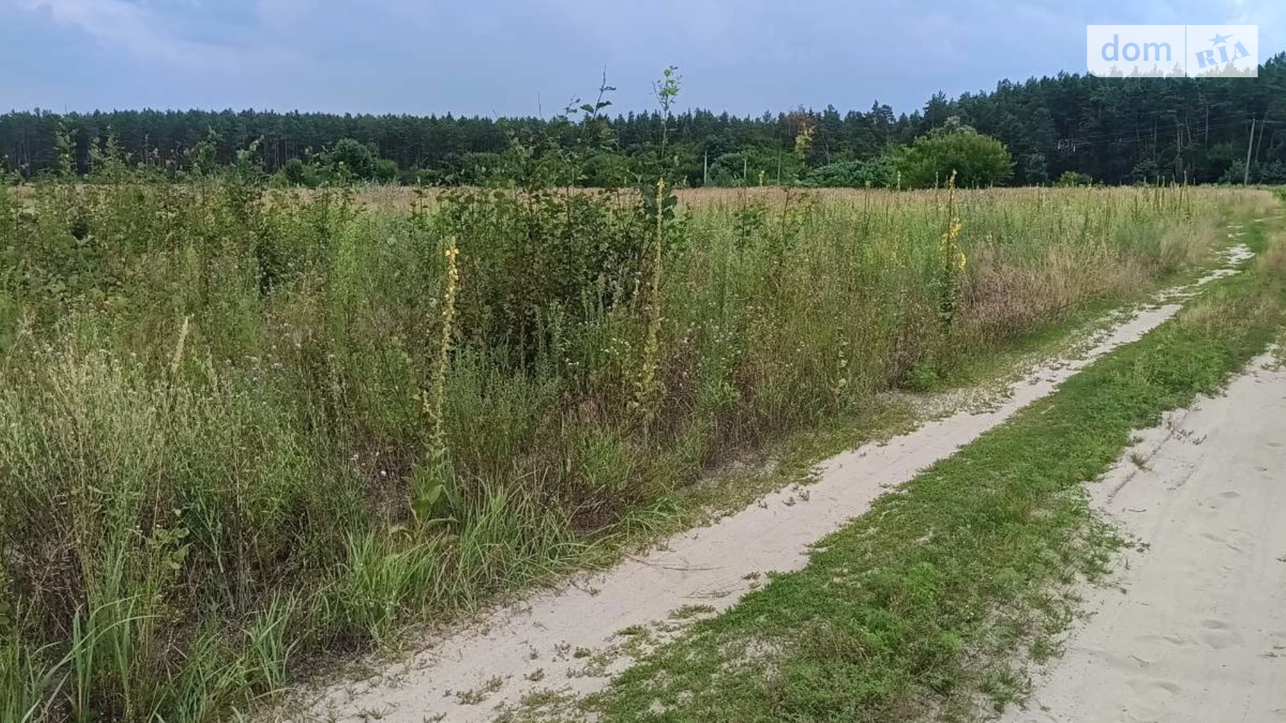ул. Дубровская Старые Петровцы, цена: 15000 $ - фото 4