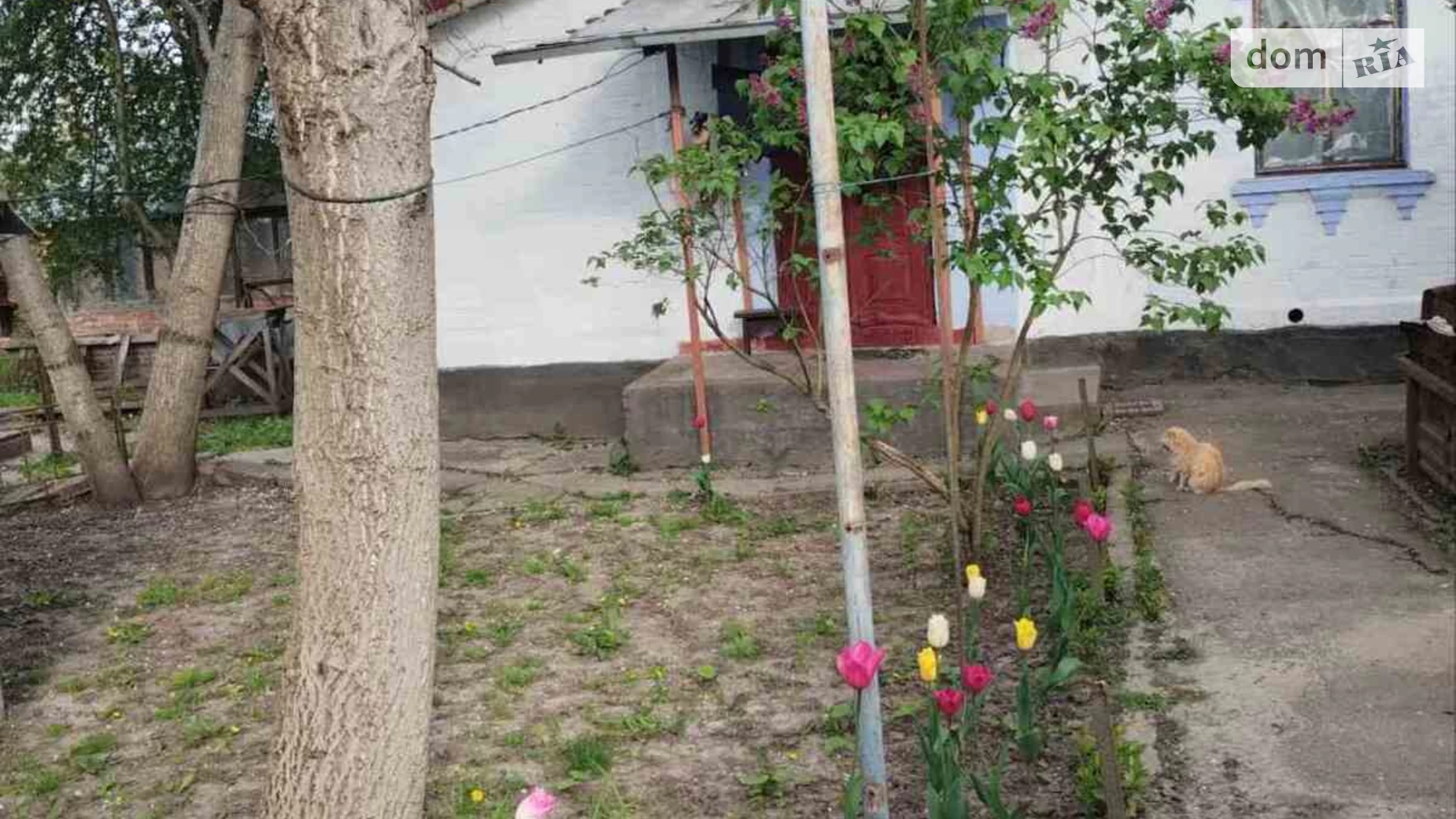 ул. Василия Симоненко(Калинина), 76 Белая Церковь, цена: 74000 $ - фото 2