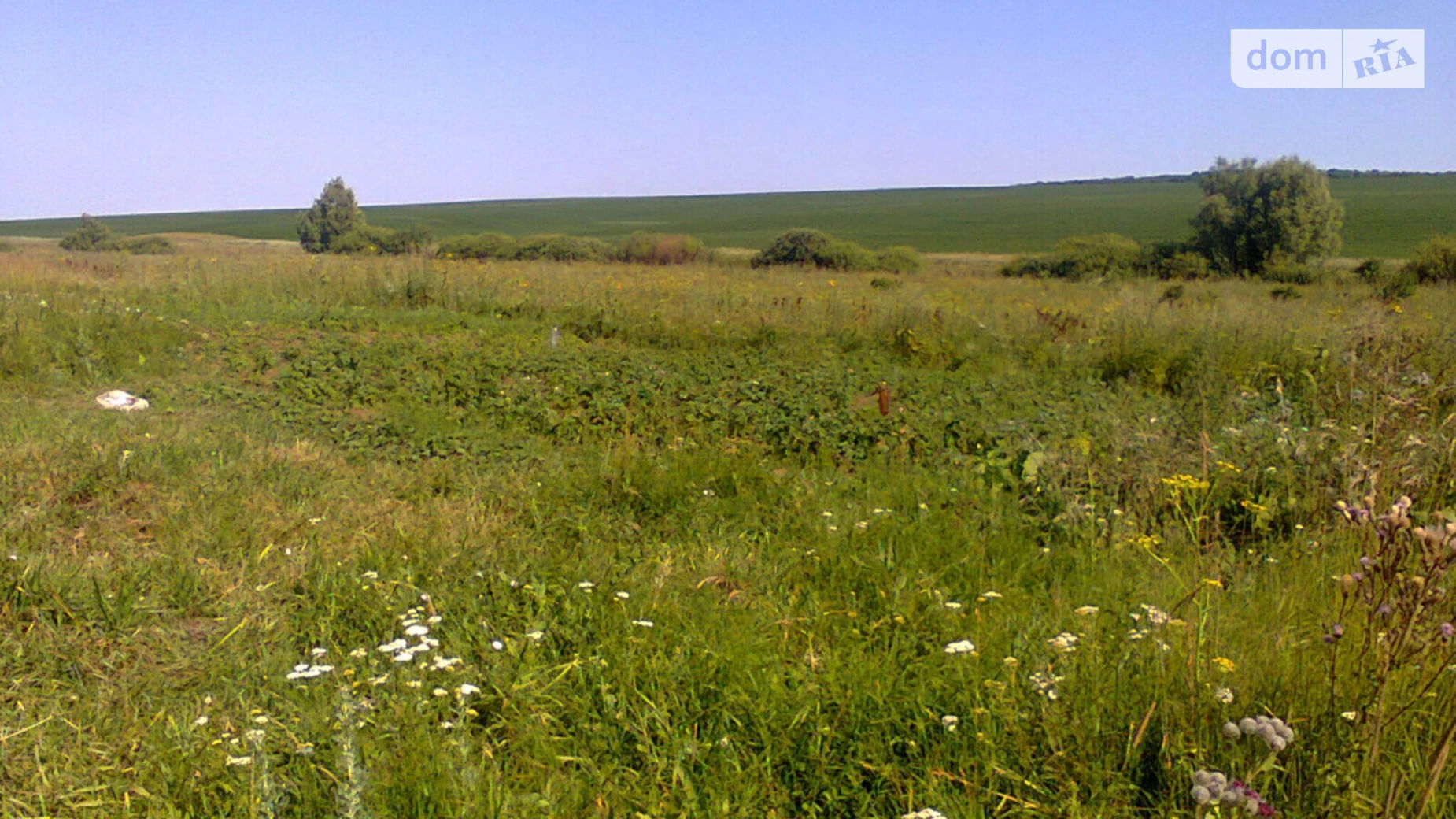 Продается земельный участок 25 соток в Хмельницкой области, цена: 10000 $ - фото 2