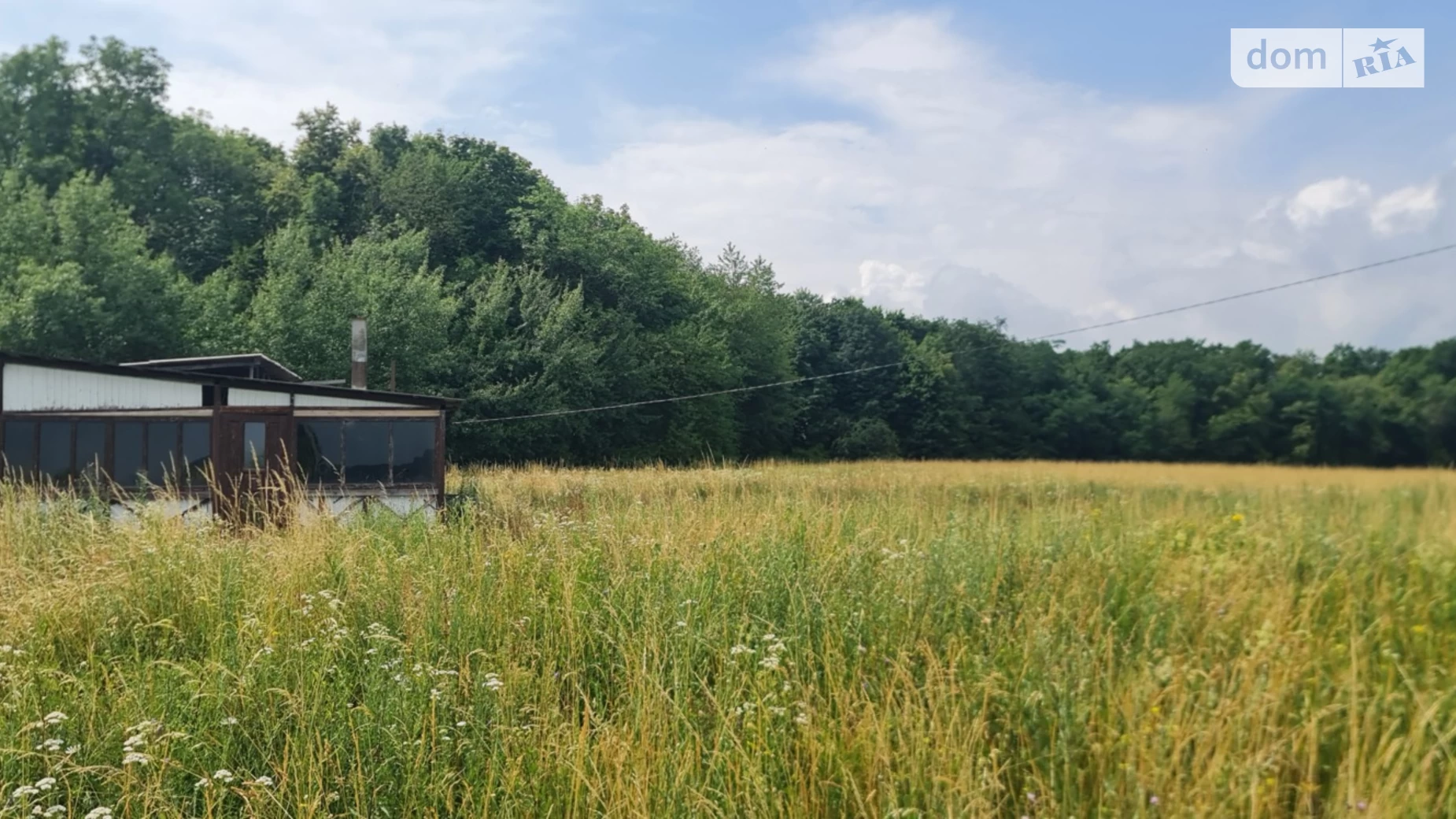 Червоная Диброва, цена: 38000 $ - фото 4