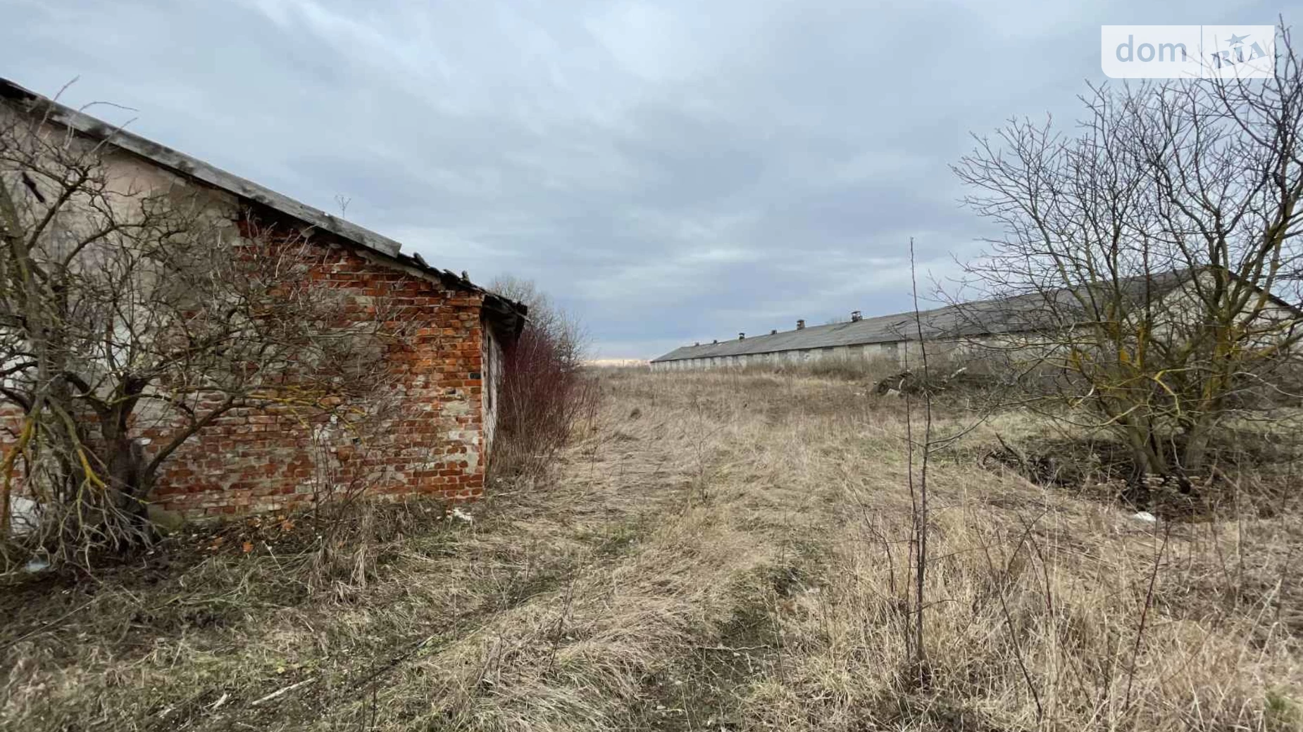 ул. Гончара Подволочиск, цена: 10800000 грн - фото 3