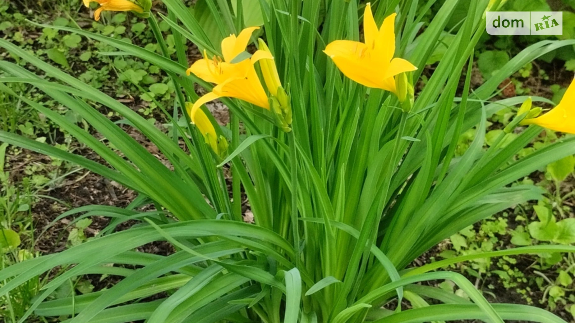 Продается дом на 2 этажа 281.2 кв. м с балконом, цена: 65000 $ - фото 5