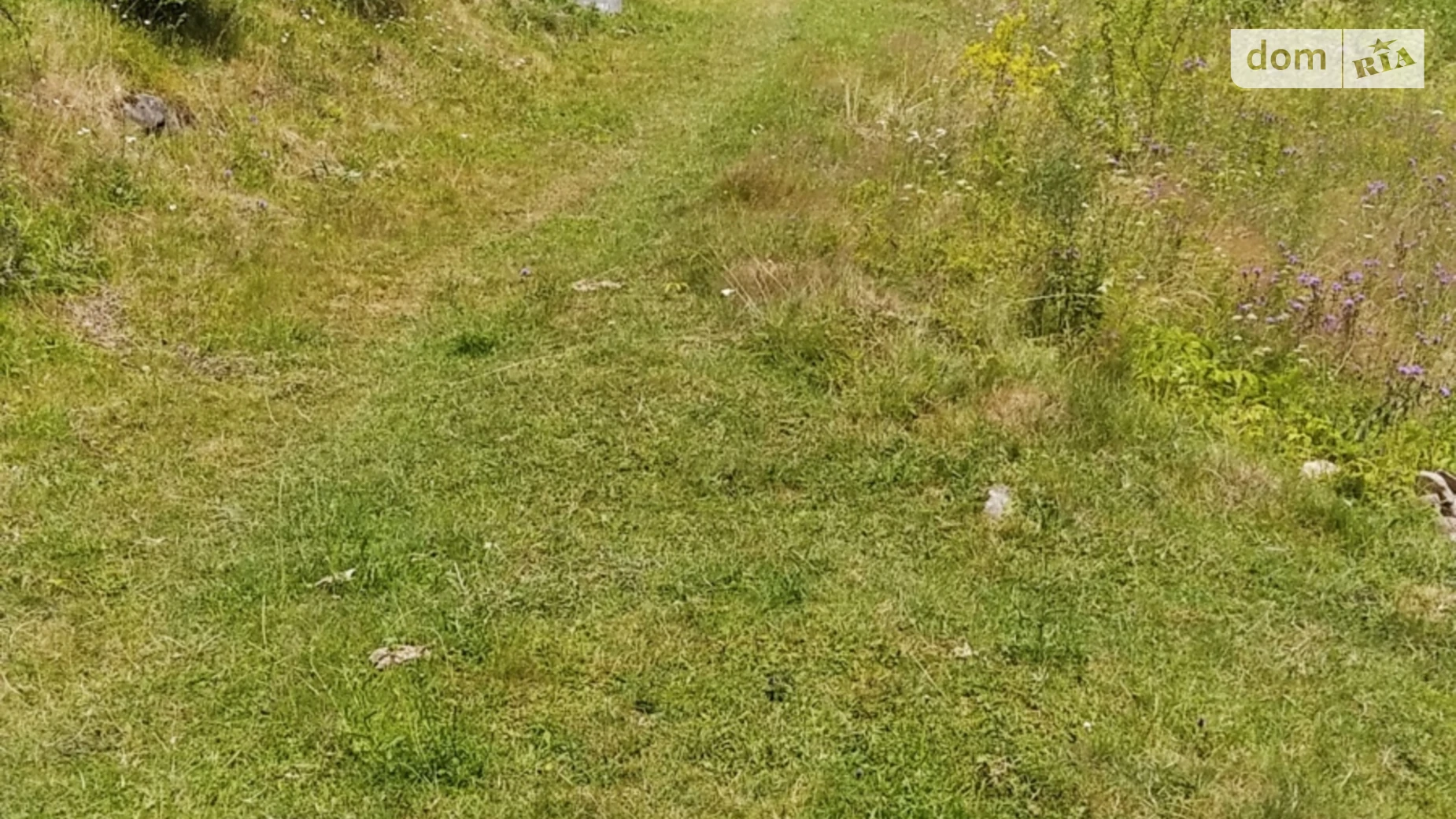 Продается земельный участок 10 соток в Ивано-Франковской области, цена: 15000 $ - фото 3