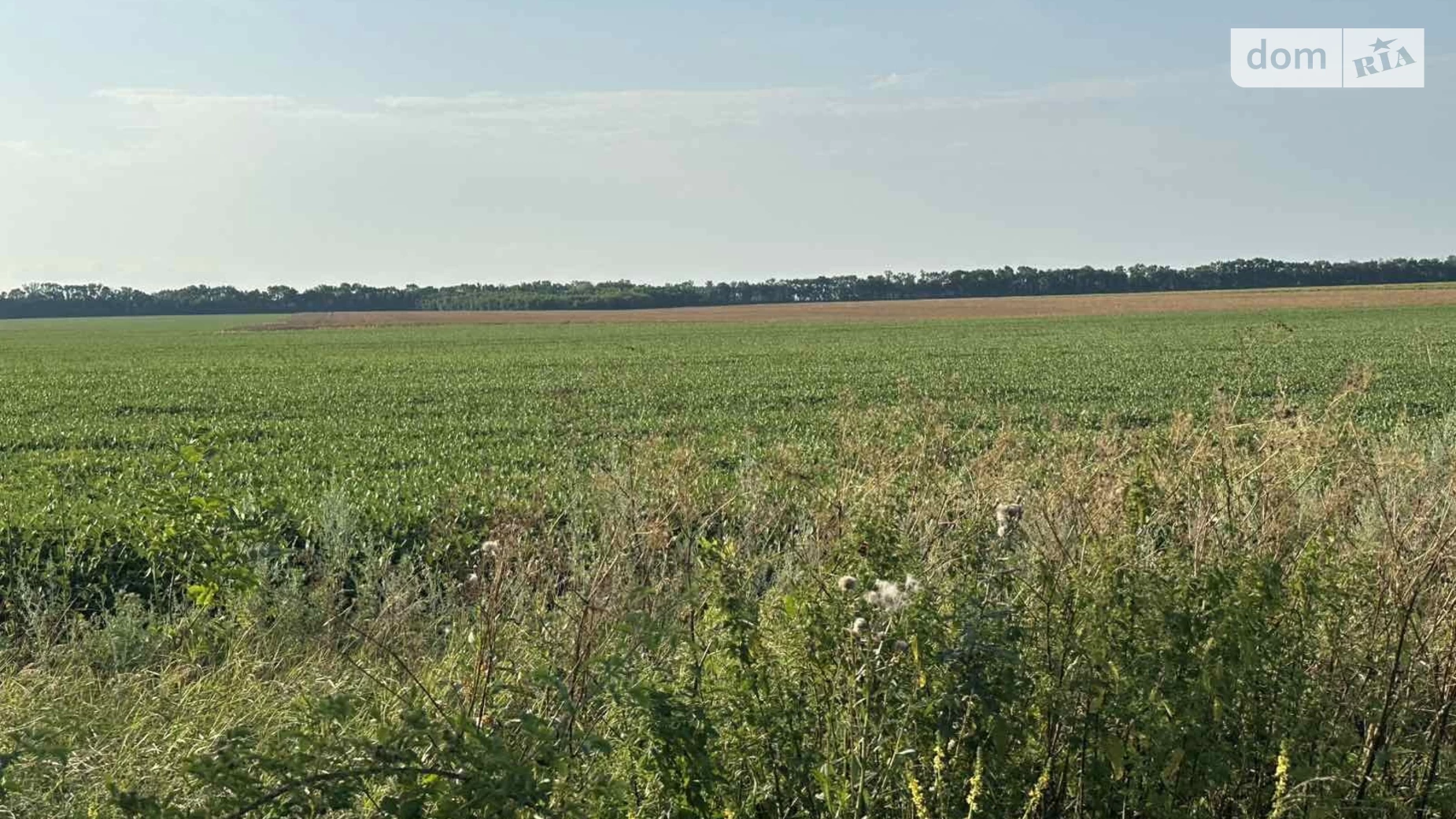 Продается земельный участок 15 соток в Винницкой области, цена: 12000 $ - фото 3