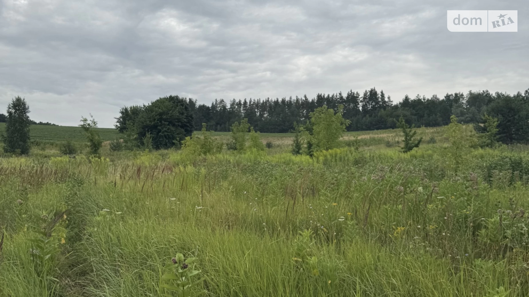 Горбовичи, цена: 215000 $ - фото 4