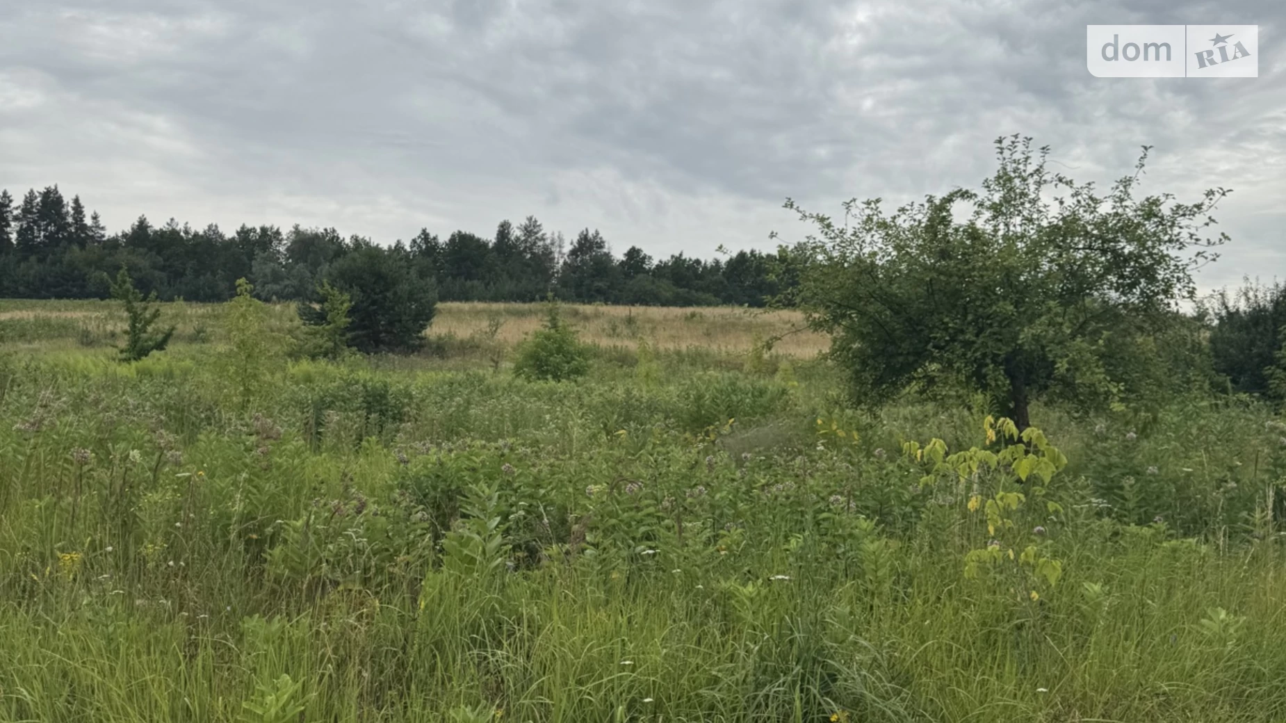 Горбовичи, цена: 215000 $ - фото 5