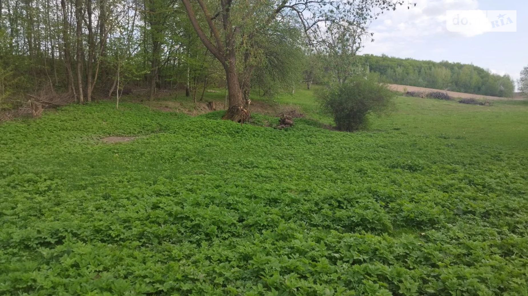 Продается земельный участок 34.04 соток в Хмельницкой области, цена: 5500 $ - фото 5