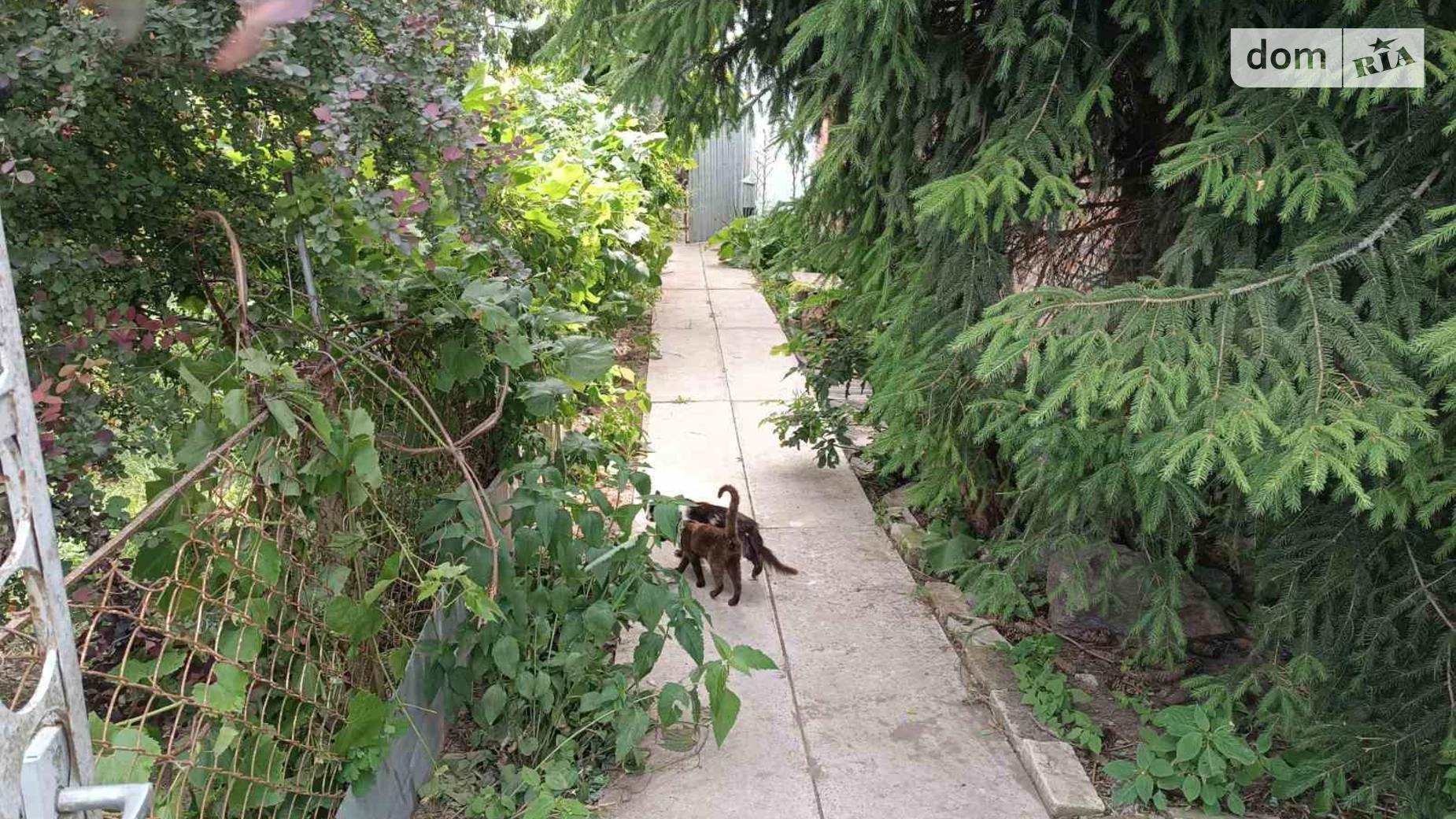 вулиця Лесі Українки Сквира, цена: 27000 $ - фото 2