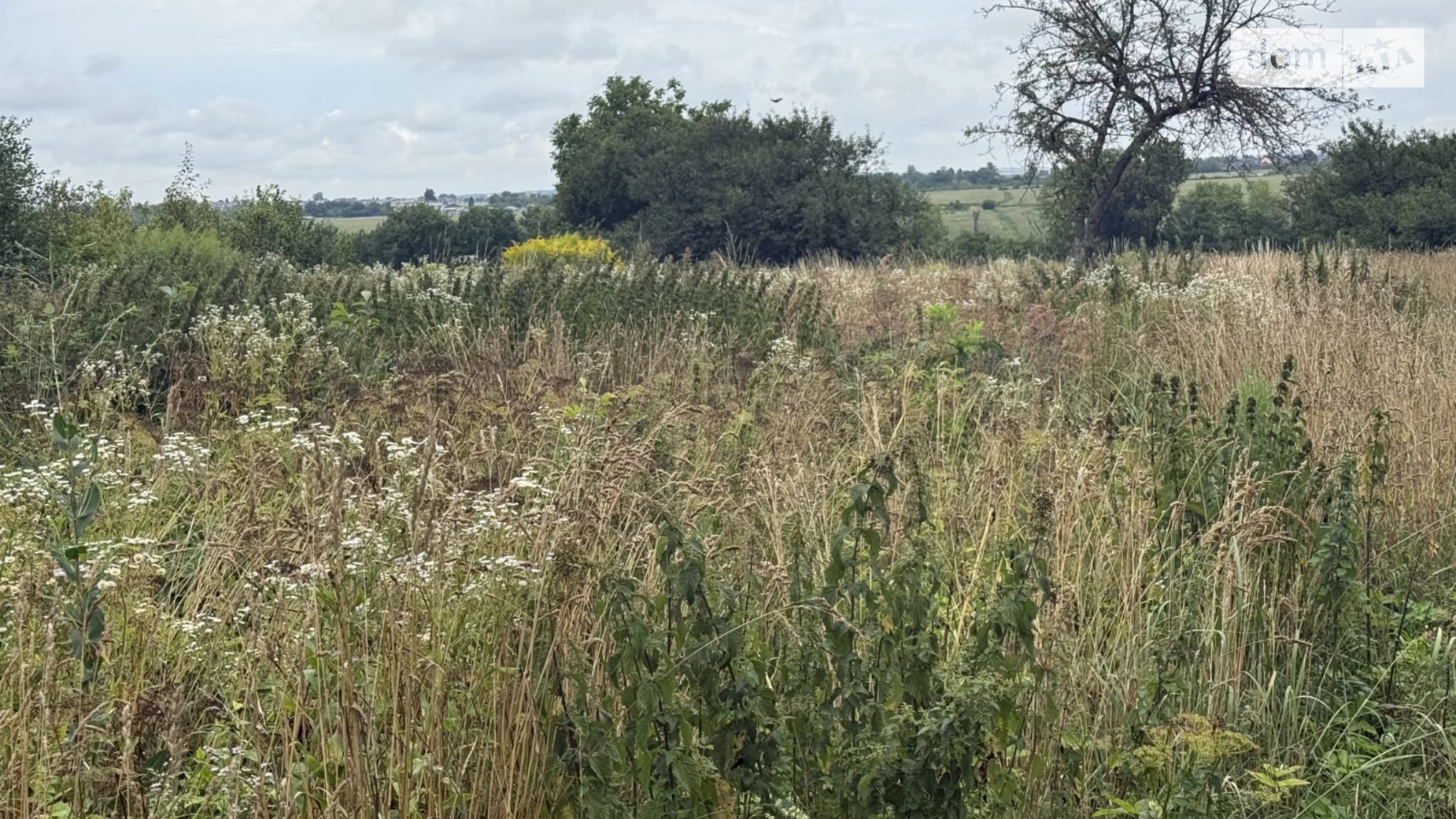 Продается земельный участок 17 соток в Тернопольской области, цена: 41000 $ - фото 2