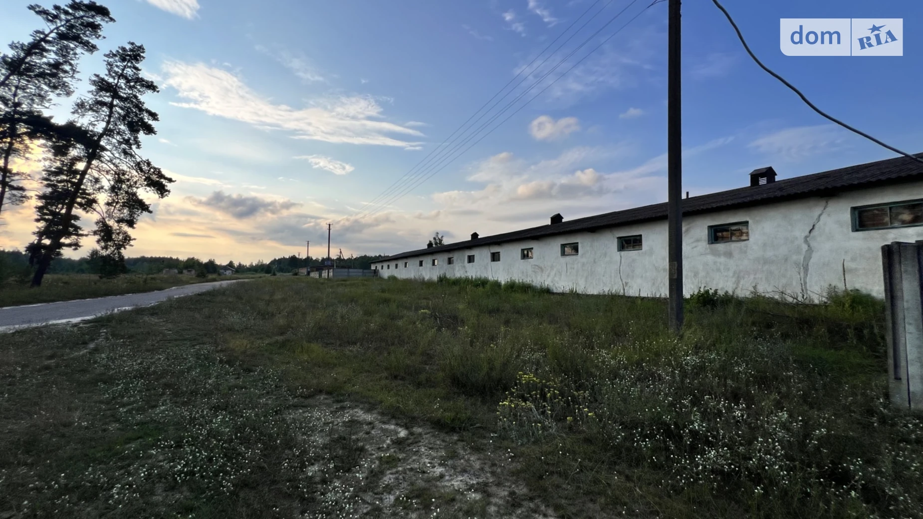 вул. Соснова, 56 Висока Піч, цена: 99000 $ - фото 3