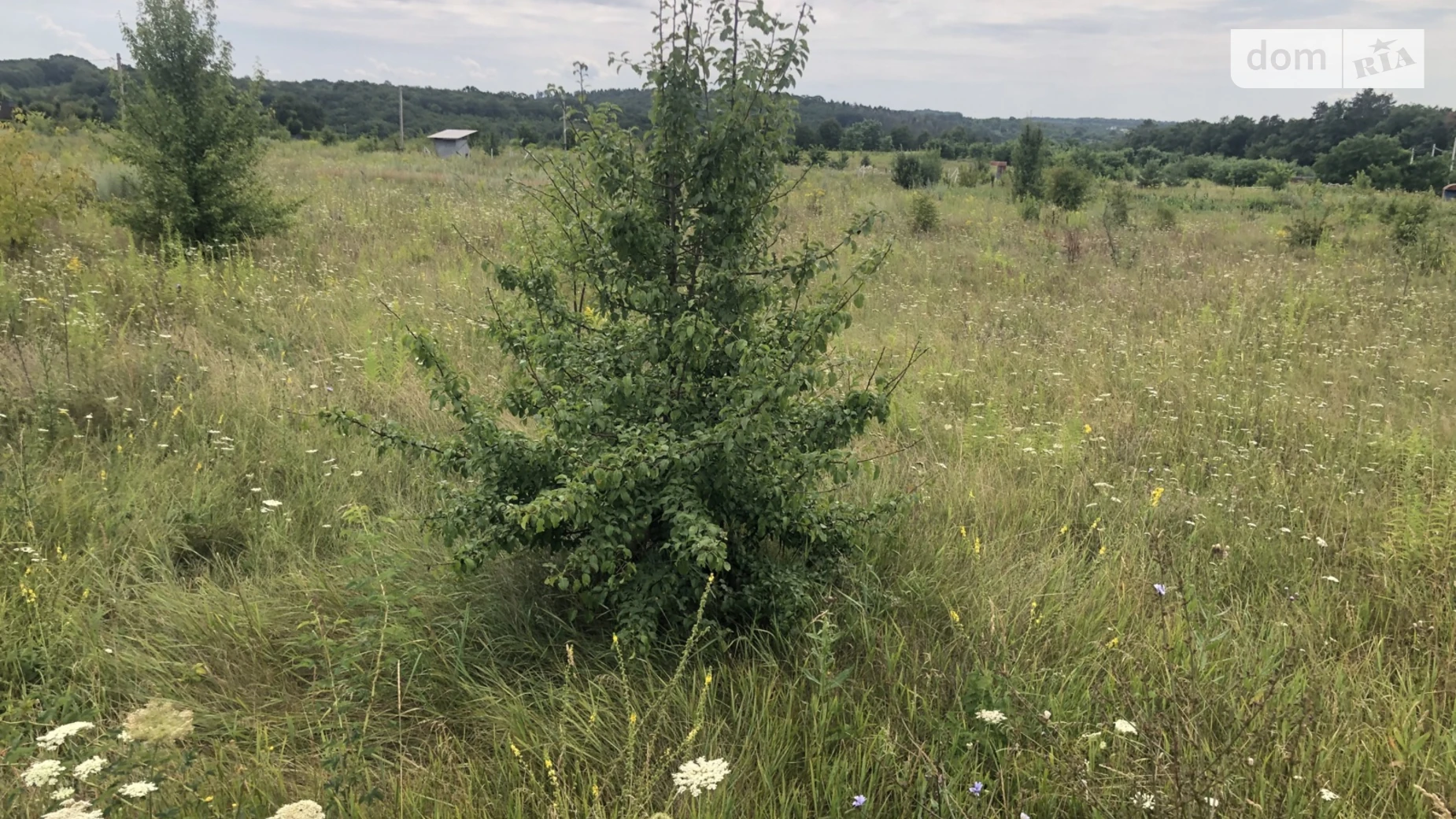 вулиця Головна Бохоники, цена: 32000 $ - фото 3