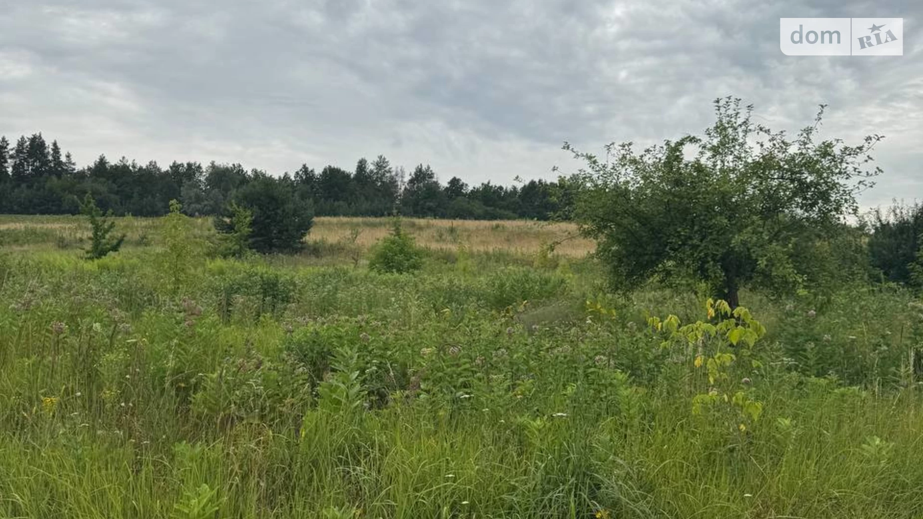 Горбовичи, цена: 215000 $ - фото 2