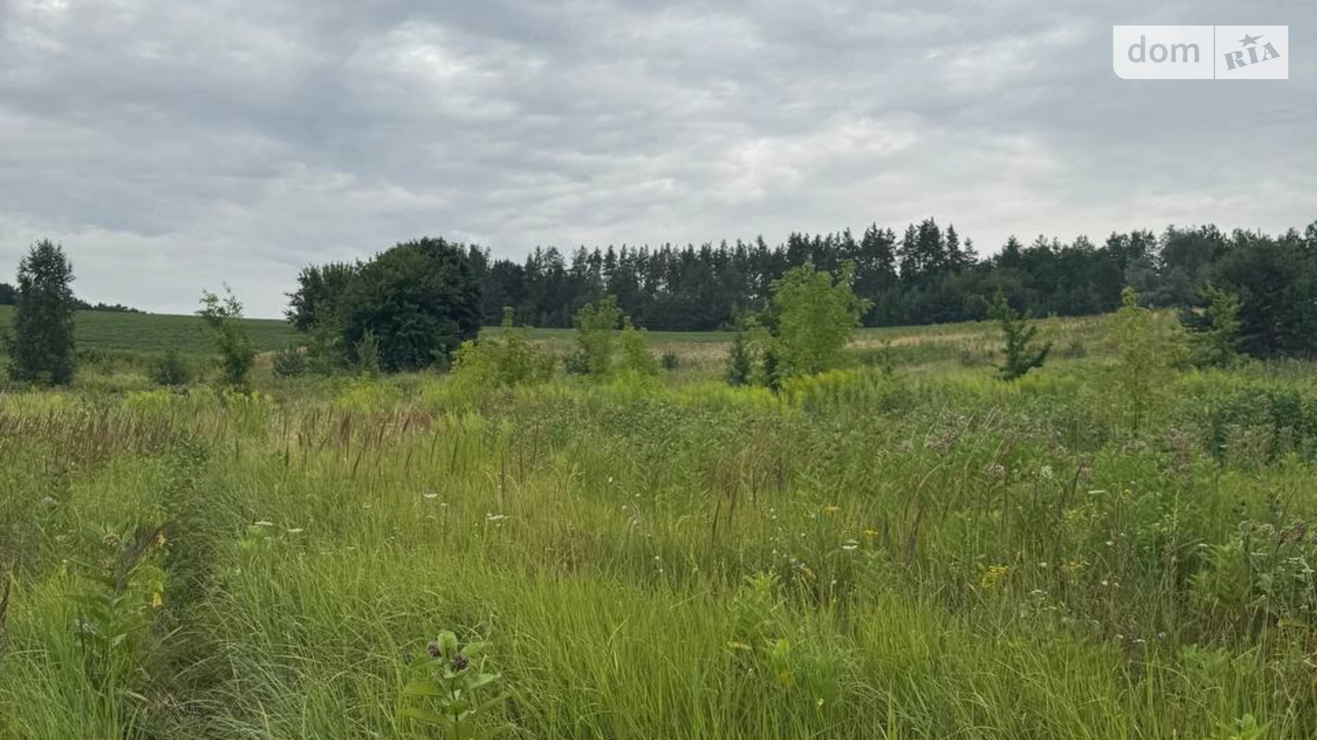 Горбовичи, цена: 215000 $ - фото 4