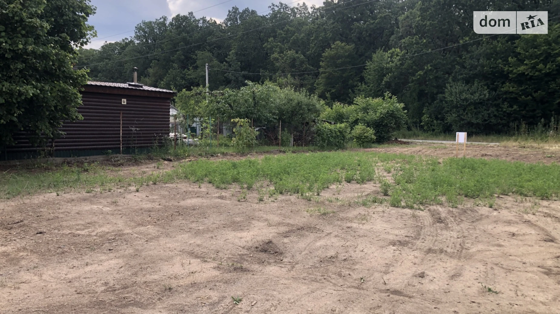 Прибужское (Шкуринци), цена: 35000 $ - фото 2