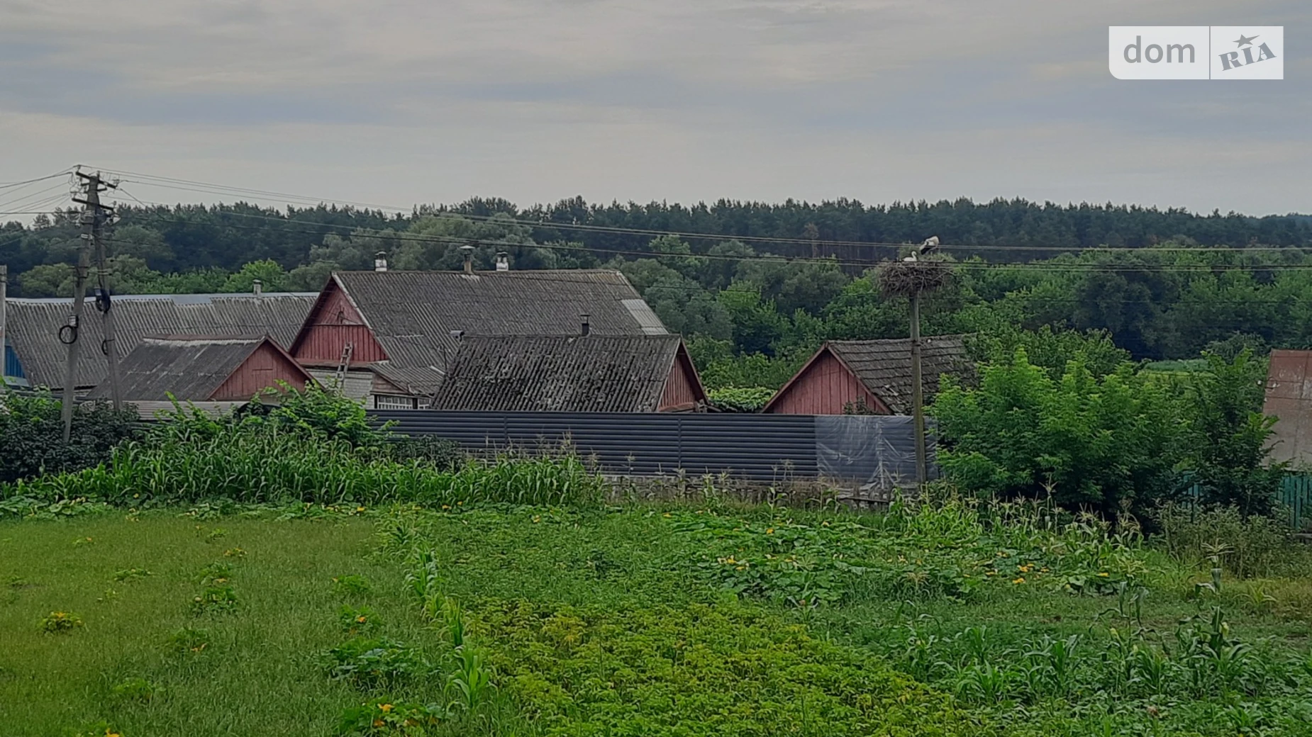 Продается земельный участок 25 соток в Житомирской области, цена: 12500 $ - фото 3