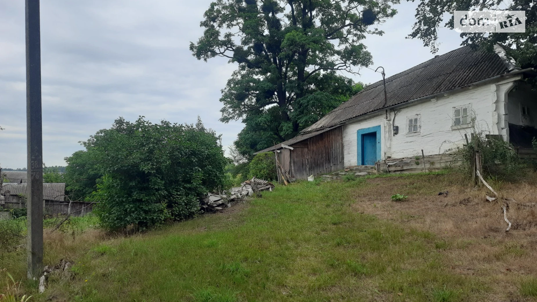 Продается земельный участок 25 соток в Житомирской области, цена: 12500 $ - фото 2