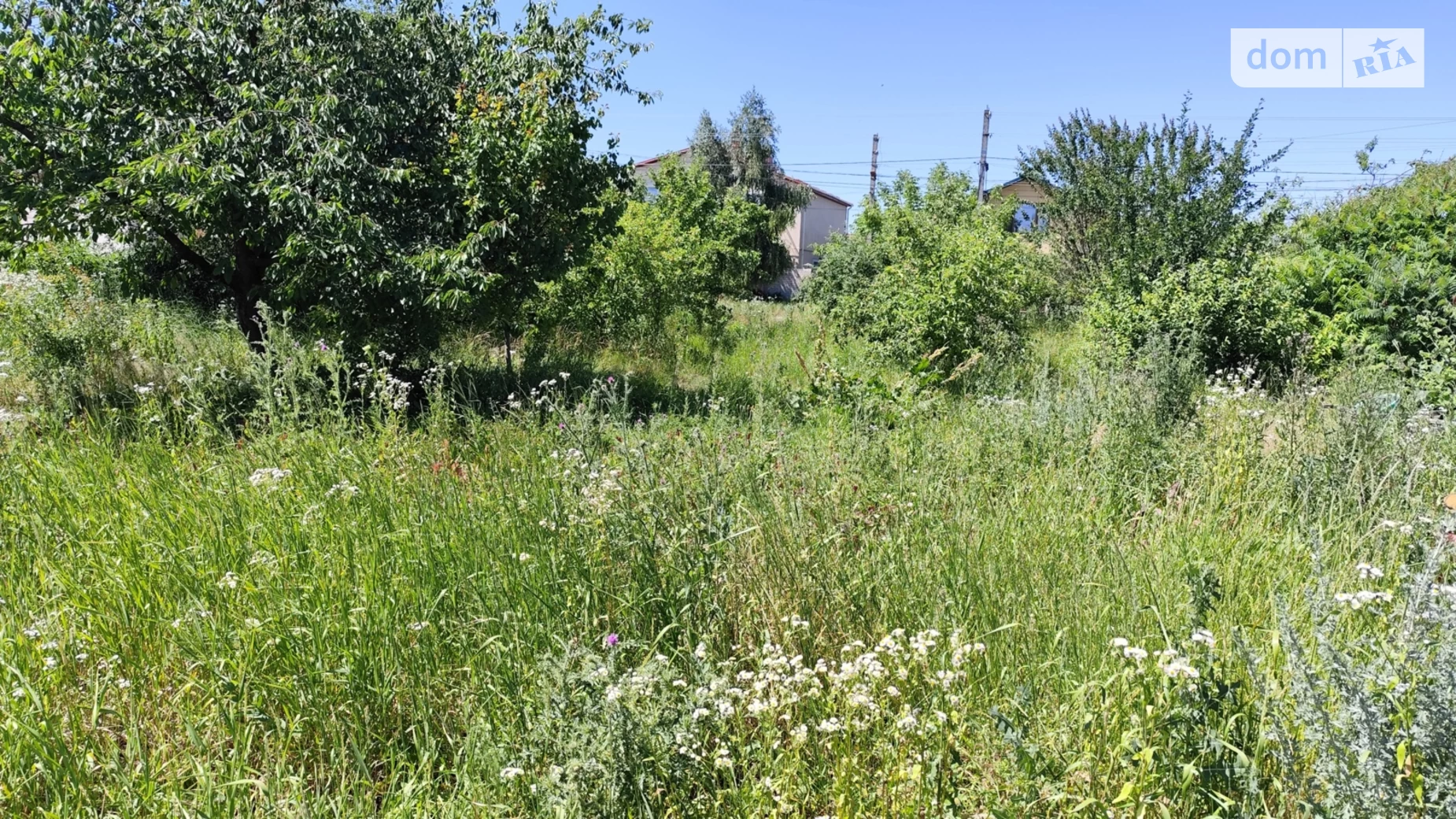 вул. Заводська Стрижавка, цена: 37000 $ - фото 3