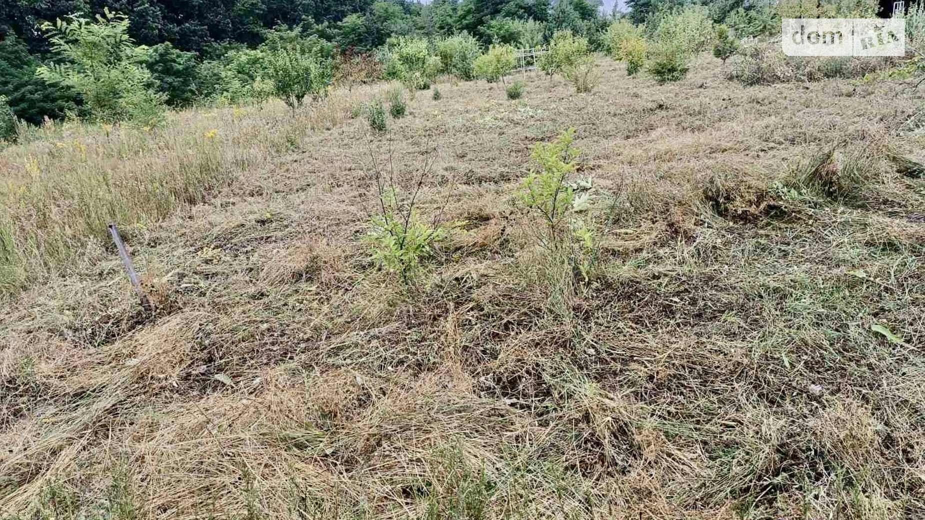 Здоровка, цена: 33000 $ - фото 4