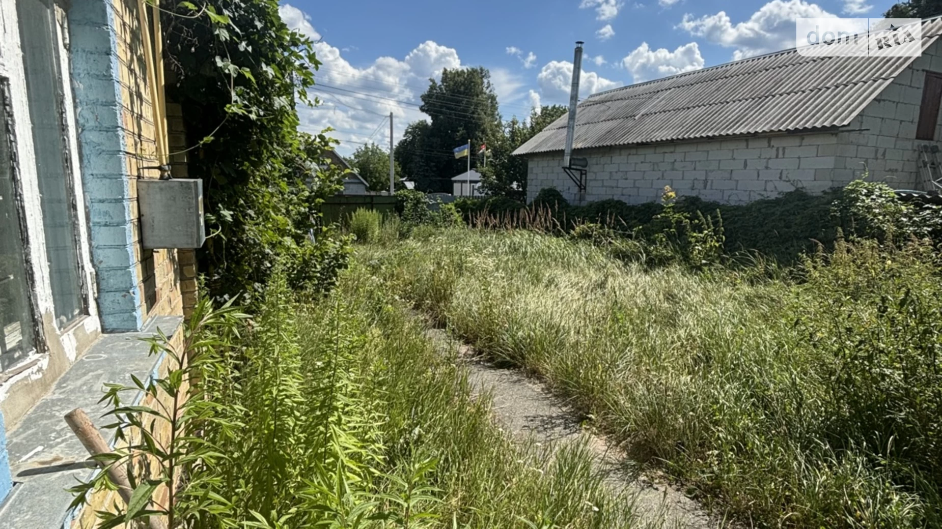 ул. Яблонская Буча, цена: 55000 $ - фото 3
