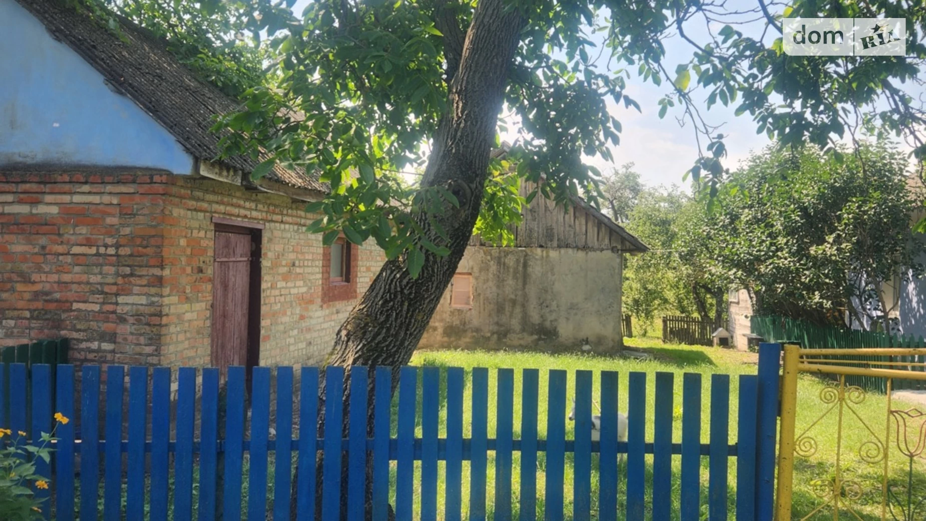 Продается одноэтажный дом 38.1 кв. м с садом, цена: 5500 $ - фото 5