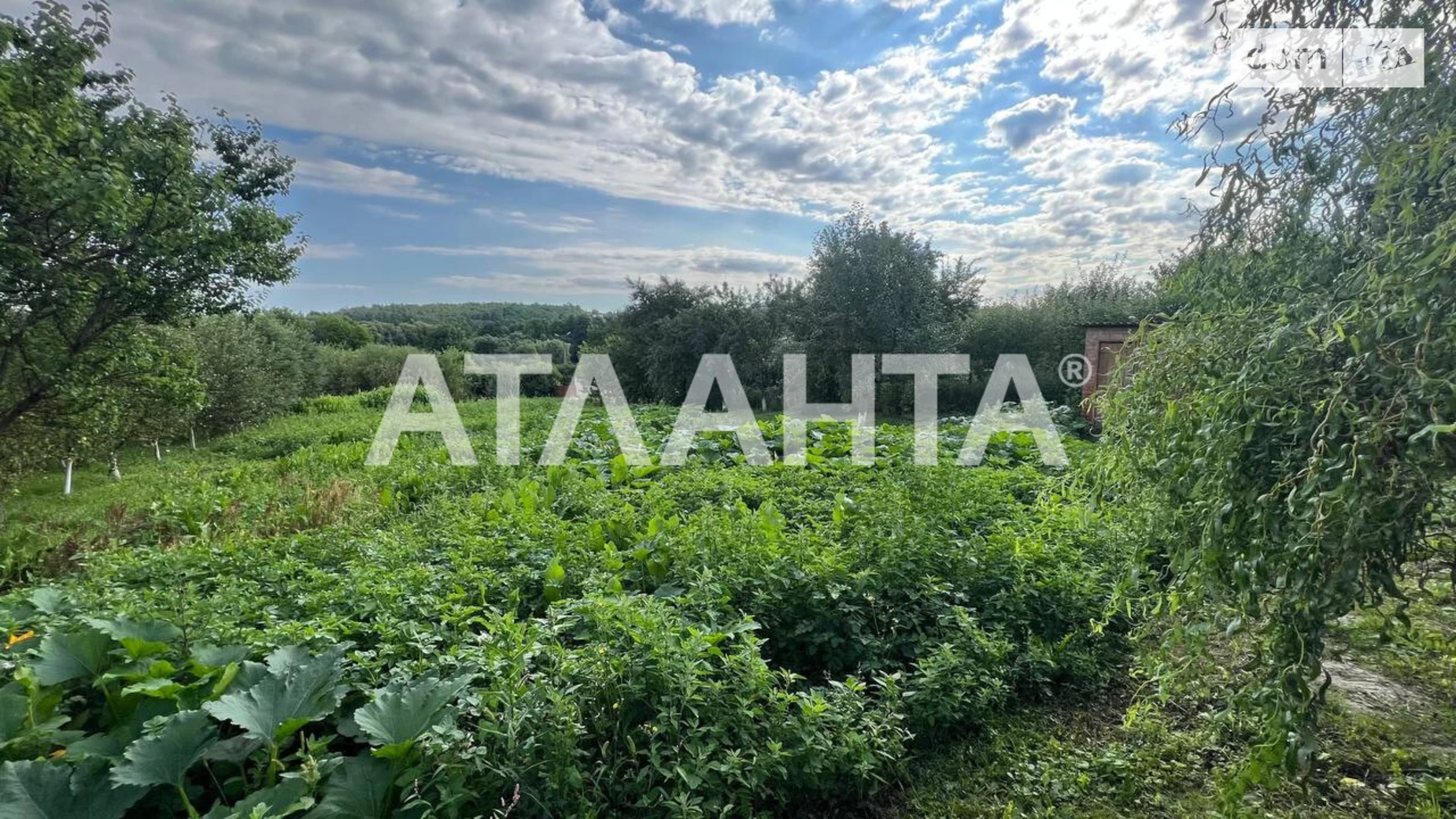 Продается земельный участок 25 соток в Винницкой области, цена: 57000 $ - фото 2