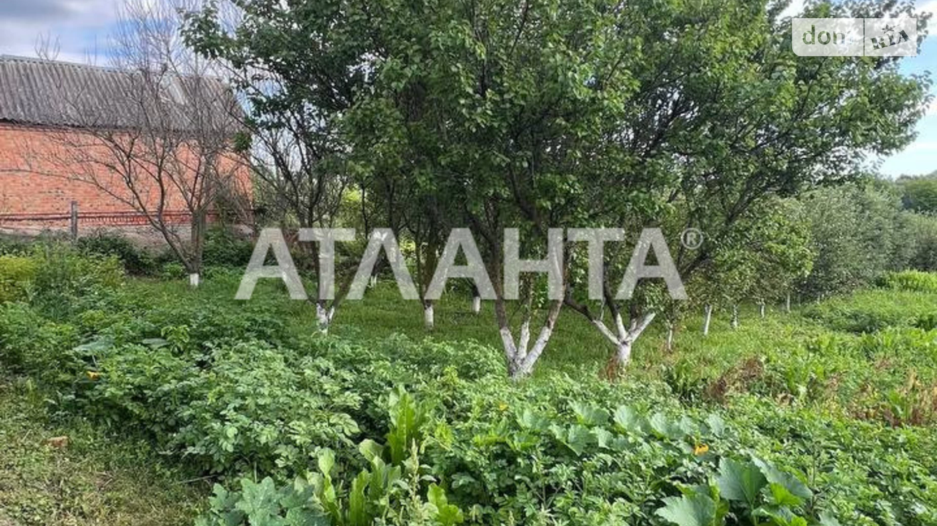 Продается земельный участок 25 соток в Винницкой области, цена: 57000 $ - фото 3