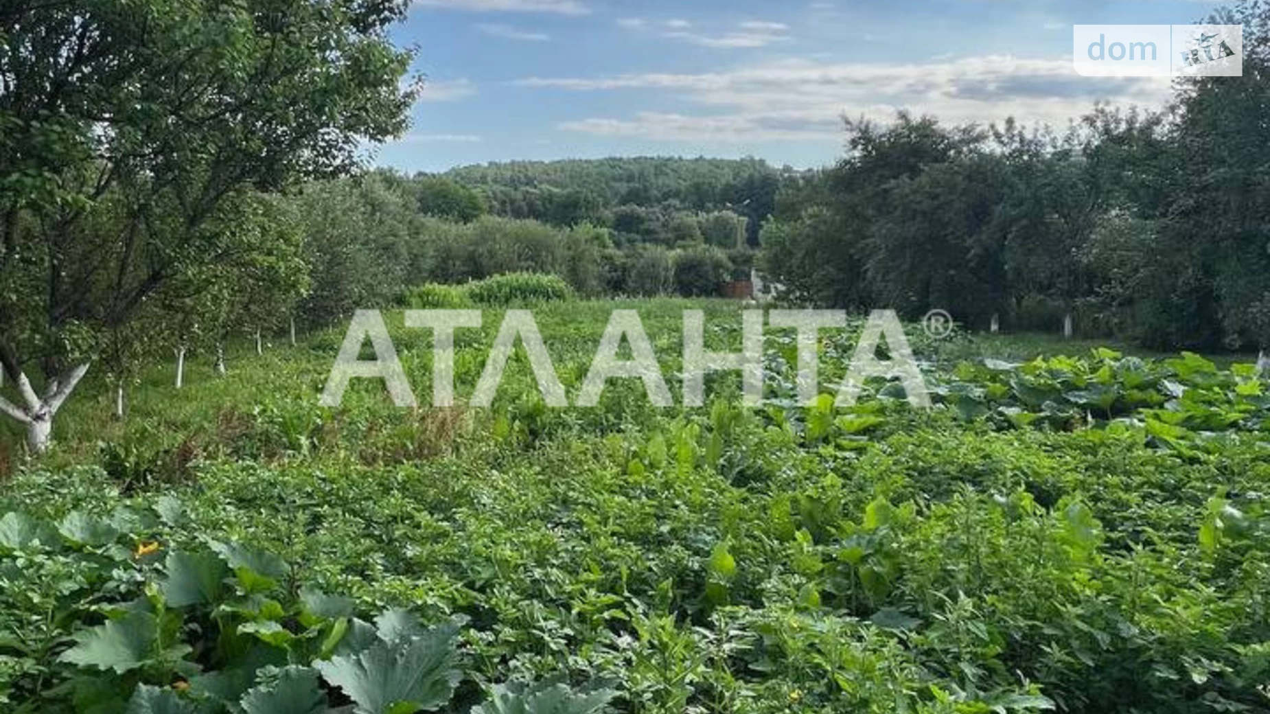 Продается земельный участок 25 соток в Винницкой области, цена: 57000 $ - фото 4
