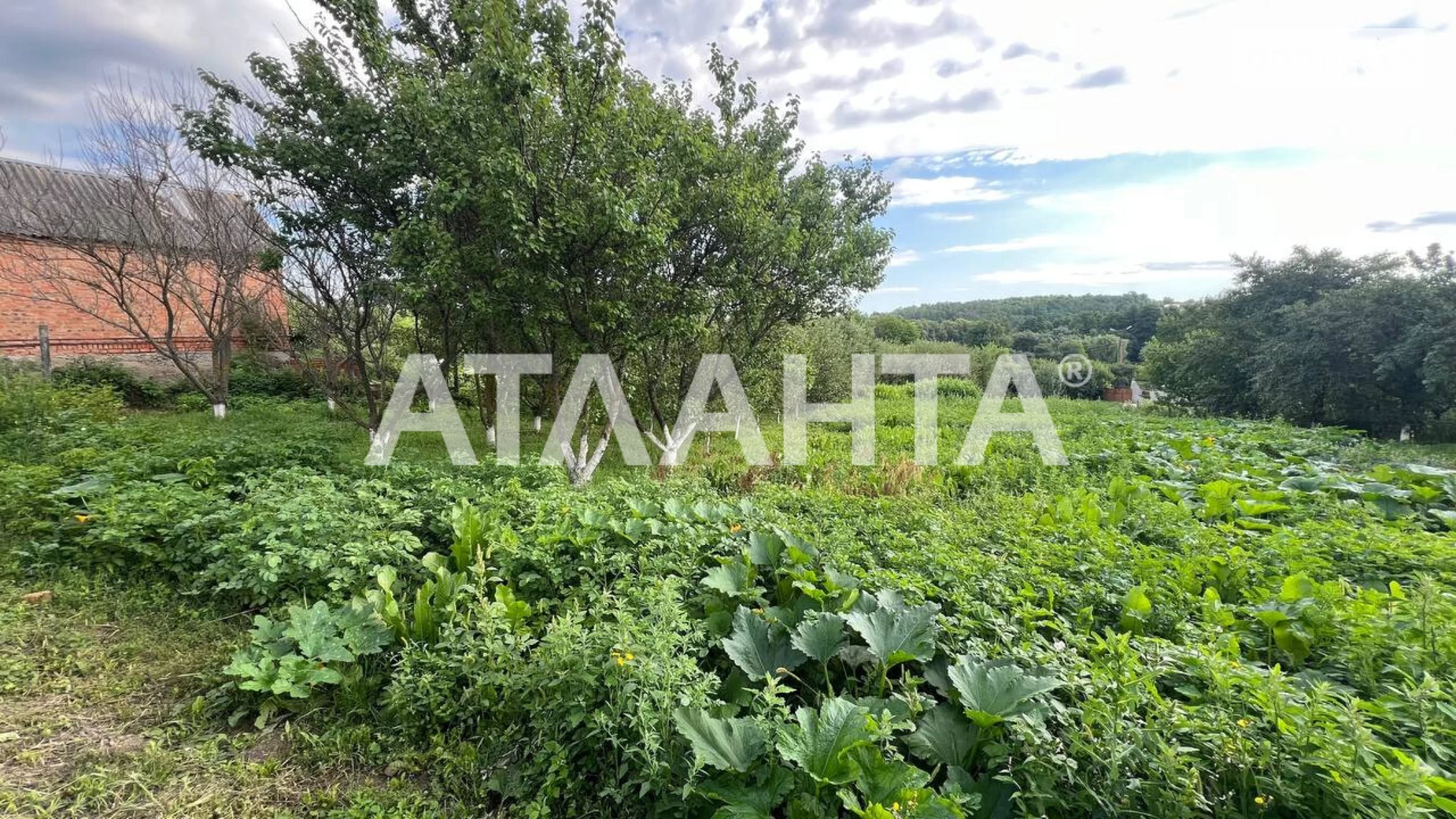 Продается земельный участок 25 соток в Винницкой области, цена: 57000 $ - фото 5