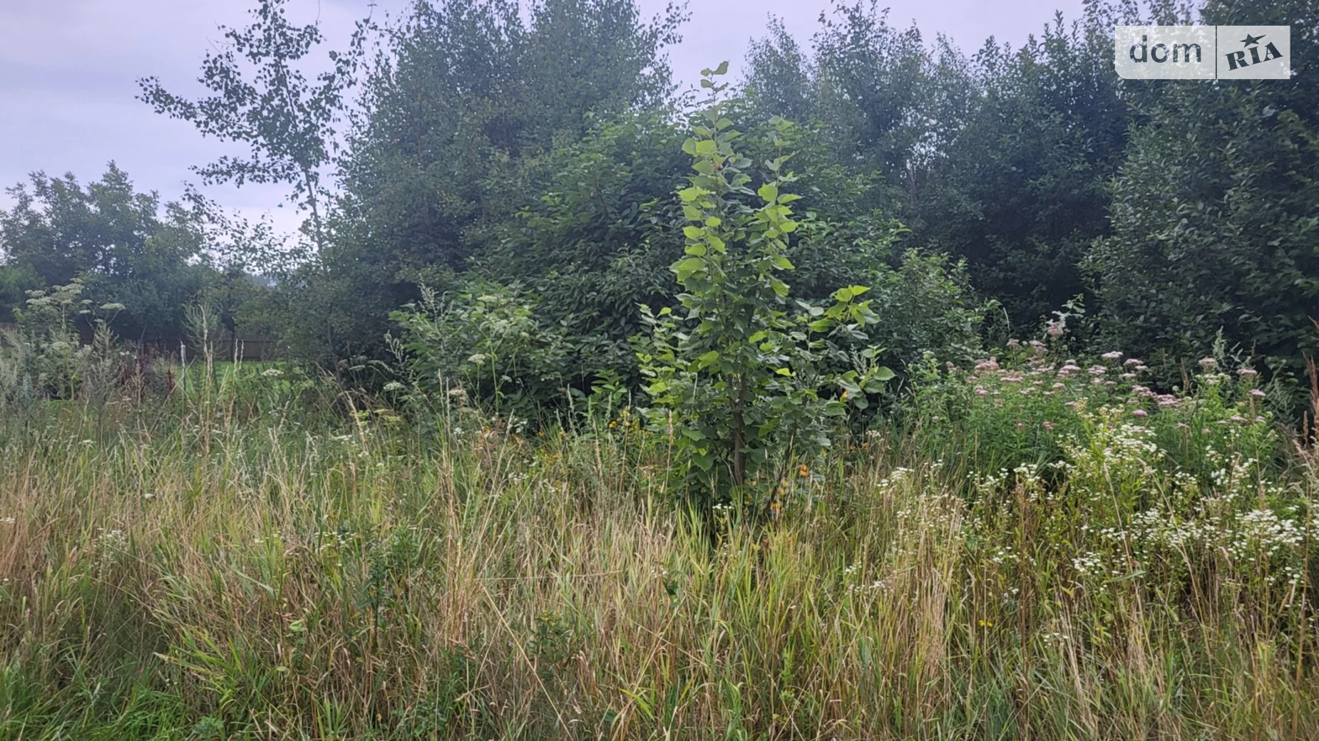 Долгое (Стрый), цена: 12500 $ - фото 4