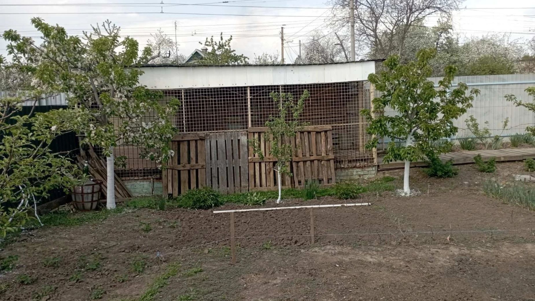 Продается одноэтажный дом 48 кв. м с подвалом, цена: 31500 $ - фото 4