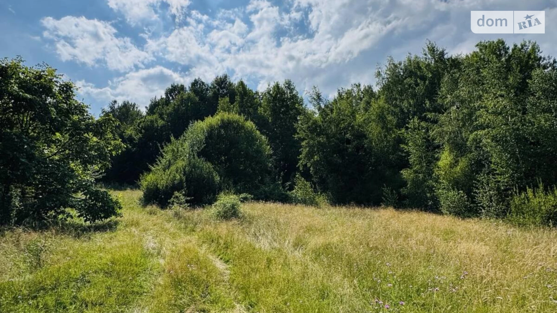 Продається земельна ділянка 17.03 соток у Івано-Франківській області, цена: 11500 $ - фото 3