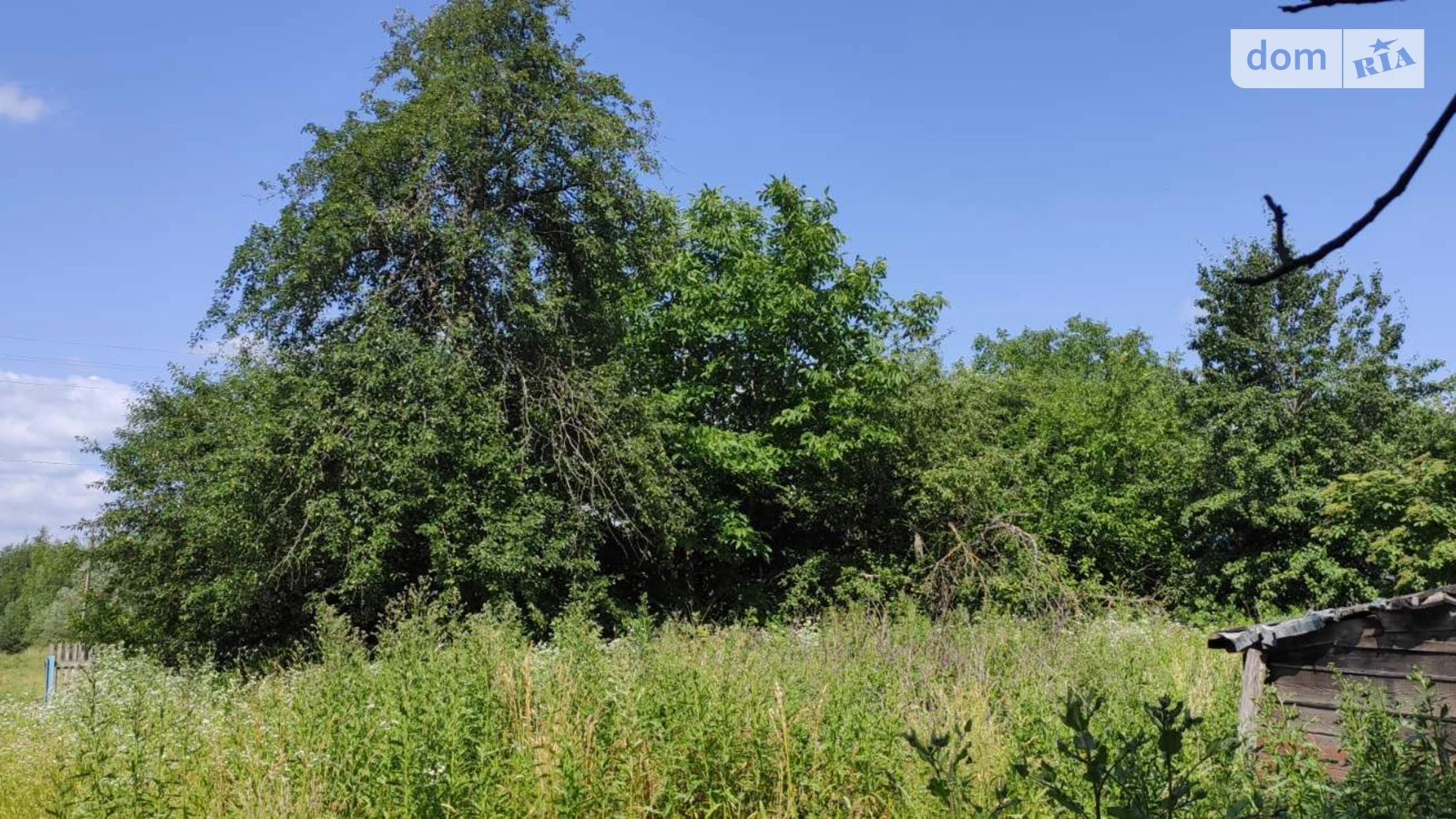 Продається земельна ділянка 38 соток у Вінницькій області, цена: 9000 $ - фото 2