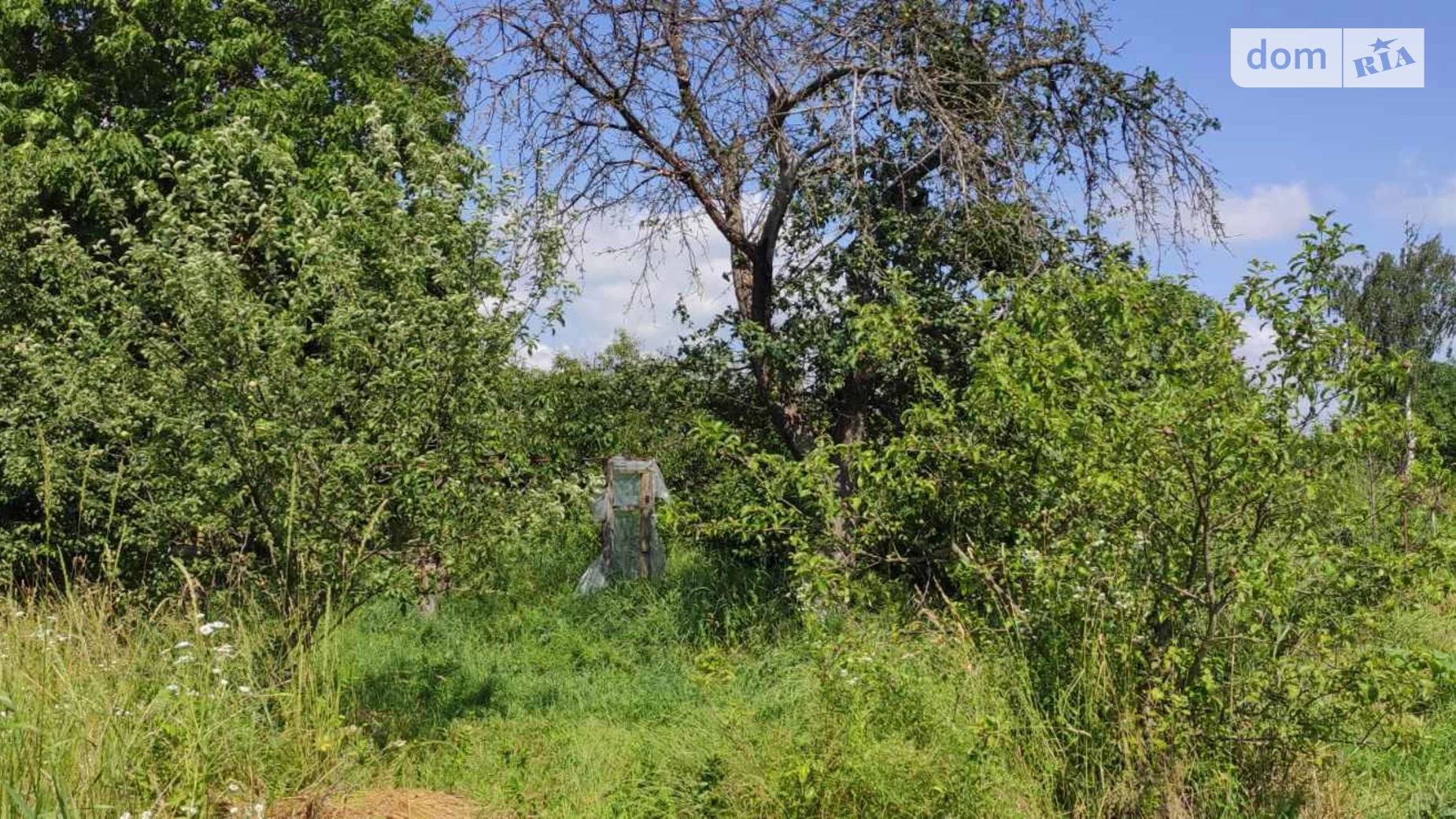 Продається земельна ділянка 38 соток у Вінницькій області, цена: 9000 $ - фото 5