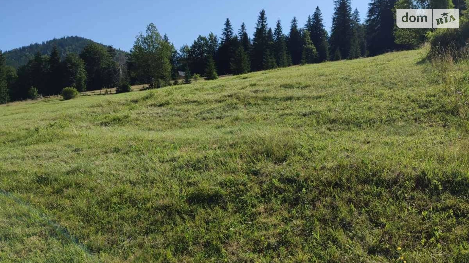 Продается земельный участок 25 соток в Ивано-Франковской области, цена: 35000 $ - фото 4
