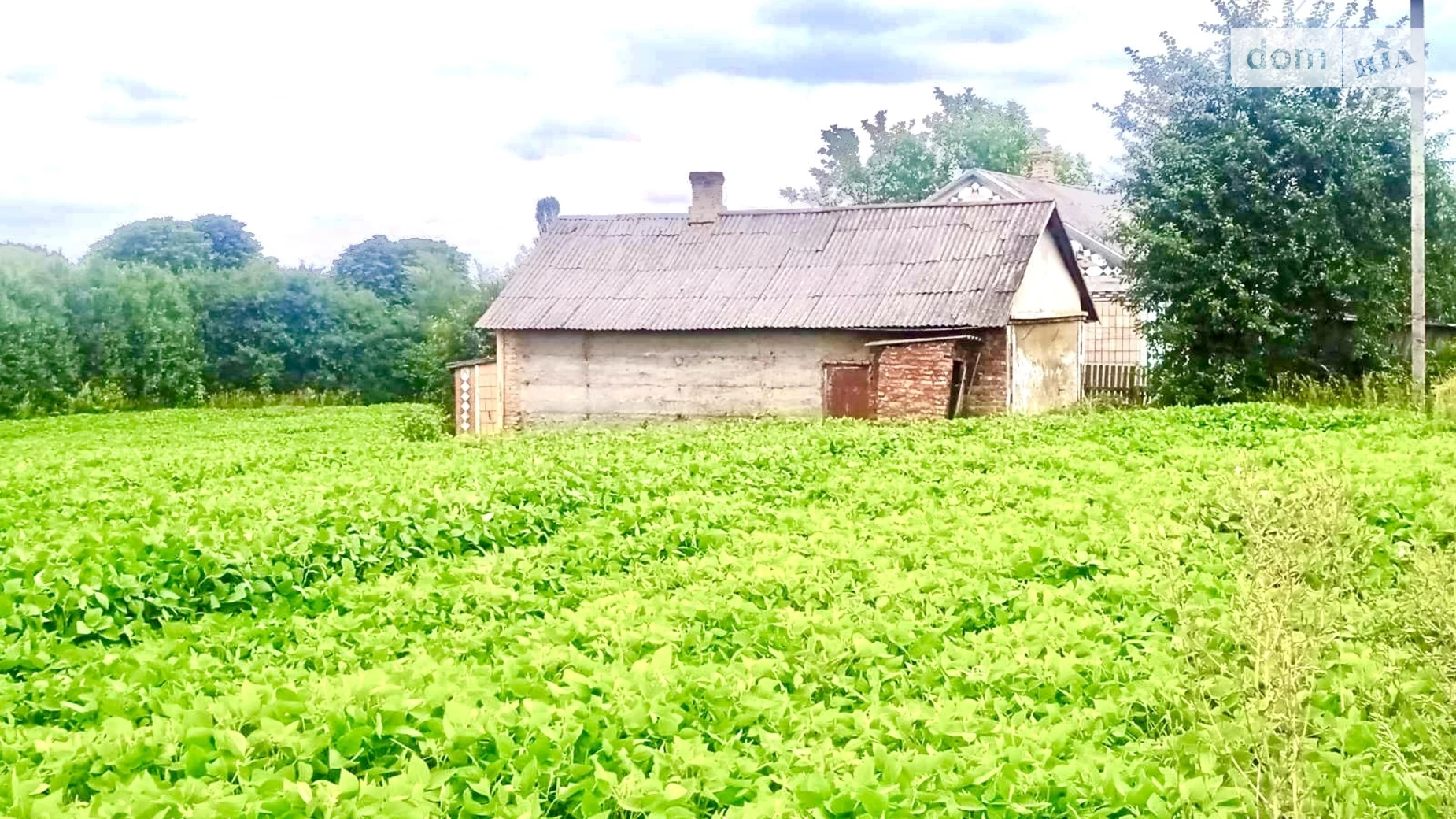 Продается одноэтажный дом 104.4 кв. м с террасой, цена: 28999 $ - фото 3