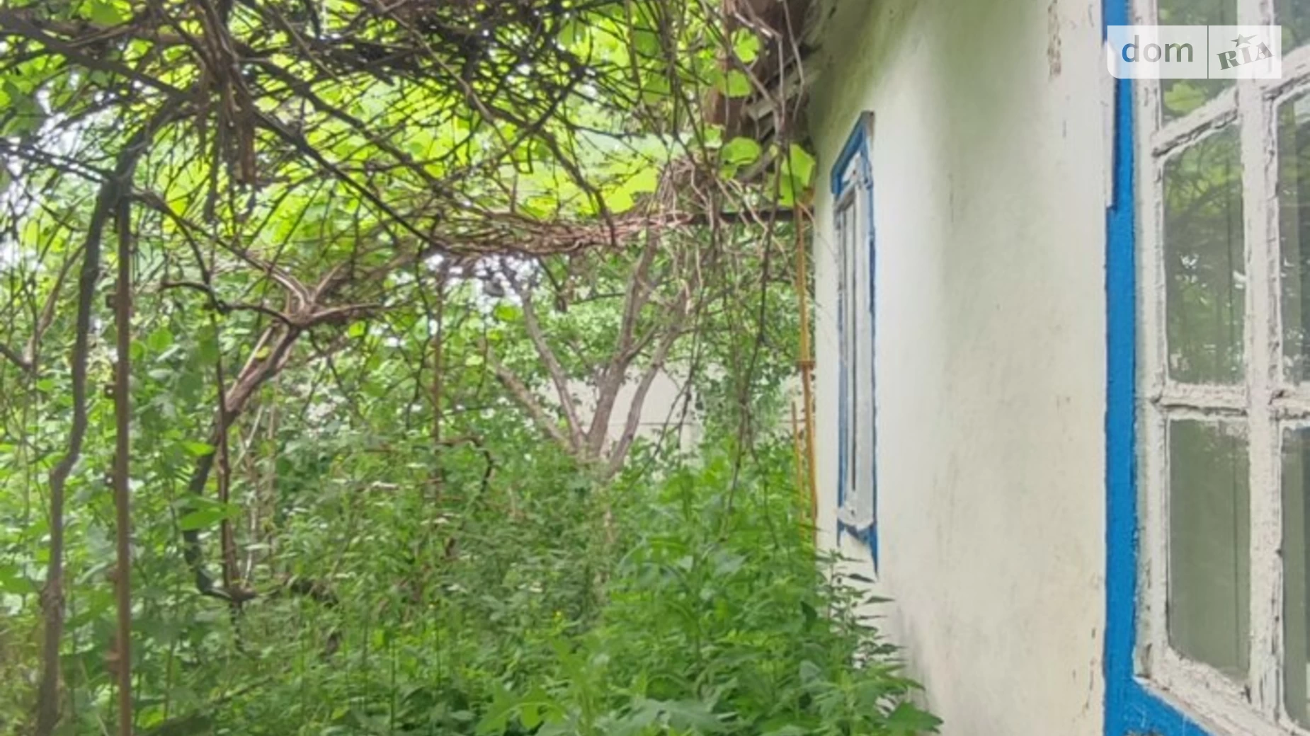 Продается одноэтажный дом 59 кв. м с беседкой, цена: 10000 $ - фото 3