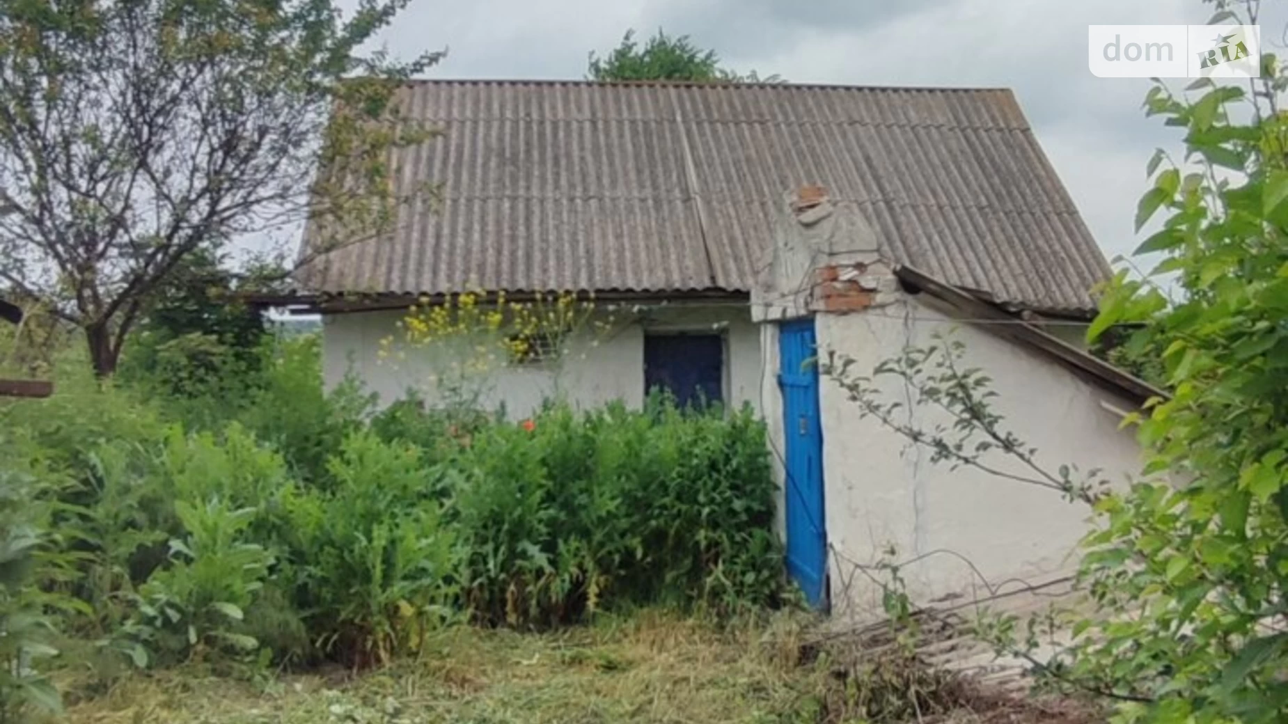 Продается одноэтажный дом 59 кв. м с беседкой, цена: 10000 $ - фото 4