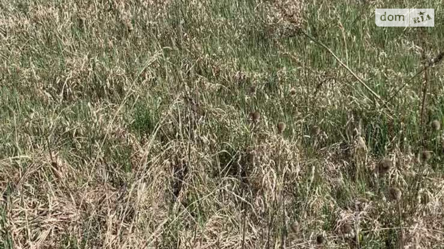 Продается земельный участок 6 соток в Киевской области, цена: 2500 $ - фото 2