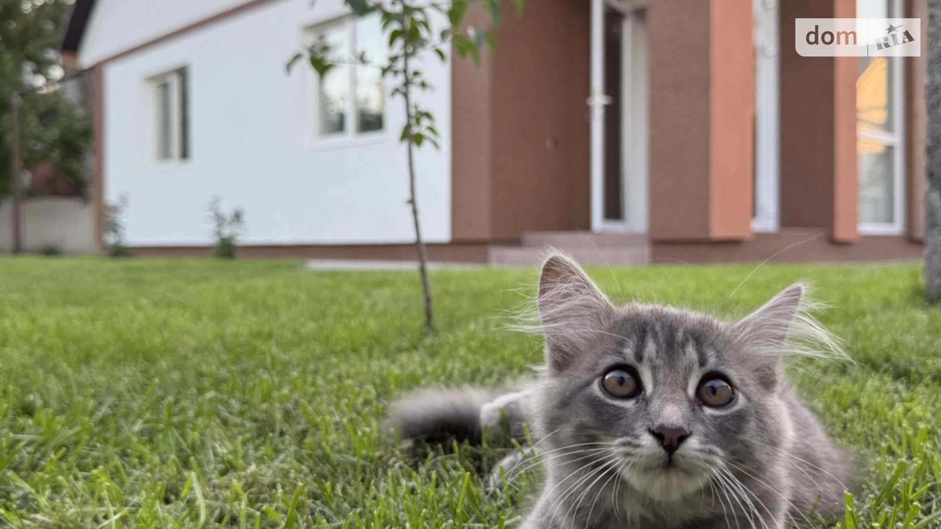 Продается одноэтажный дом 80 кв. м с беседкой, цена: 89000 $ - фото 2