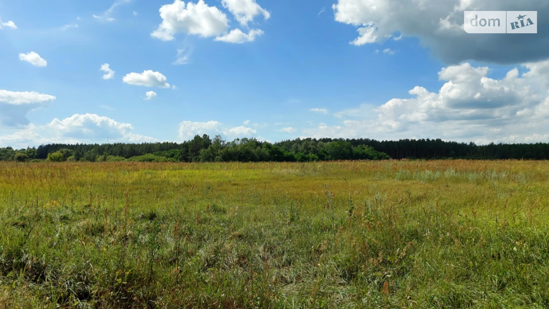 вул. Одинца Остер, цена: 30000 $ - фото 2