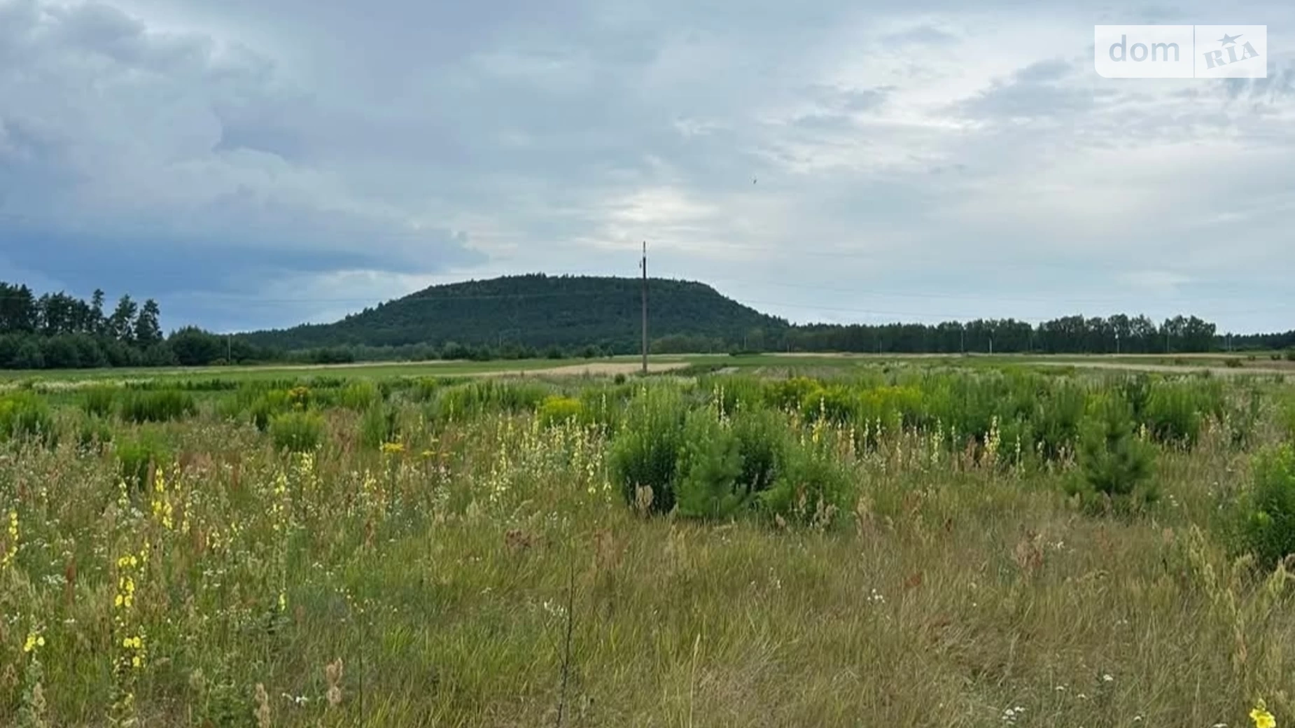 Продается земельный участок 13.18 соток в Тернопольской области, цена: 4000 $ - фото 2