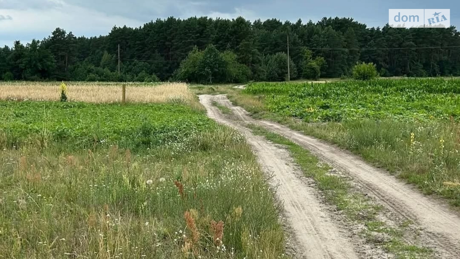 Продается земельный участок 13.18 соток в Тернопольской области, цена: 4000 $ - фото 3