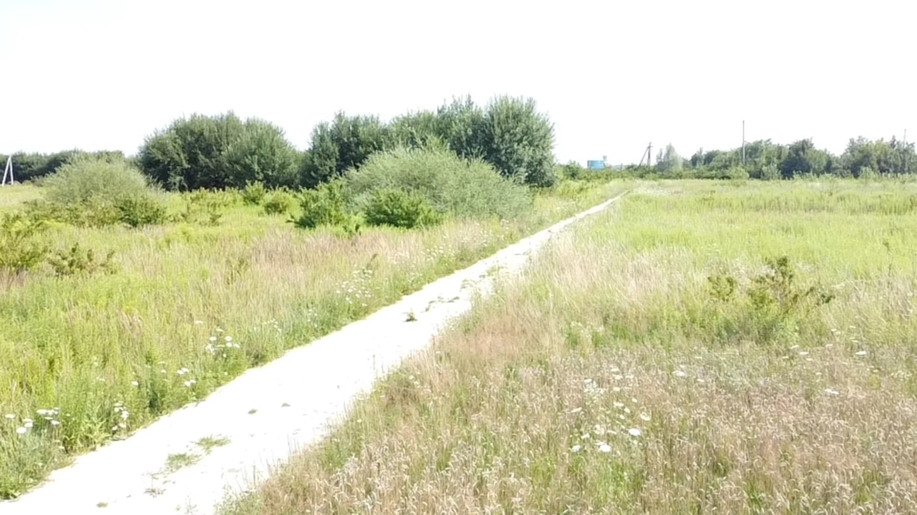 Продается земельный участок 60 соток в Львовской области, цена: 98700 $ - фото 3